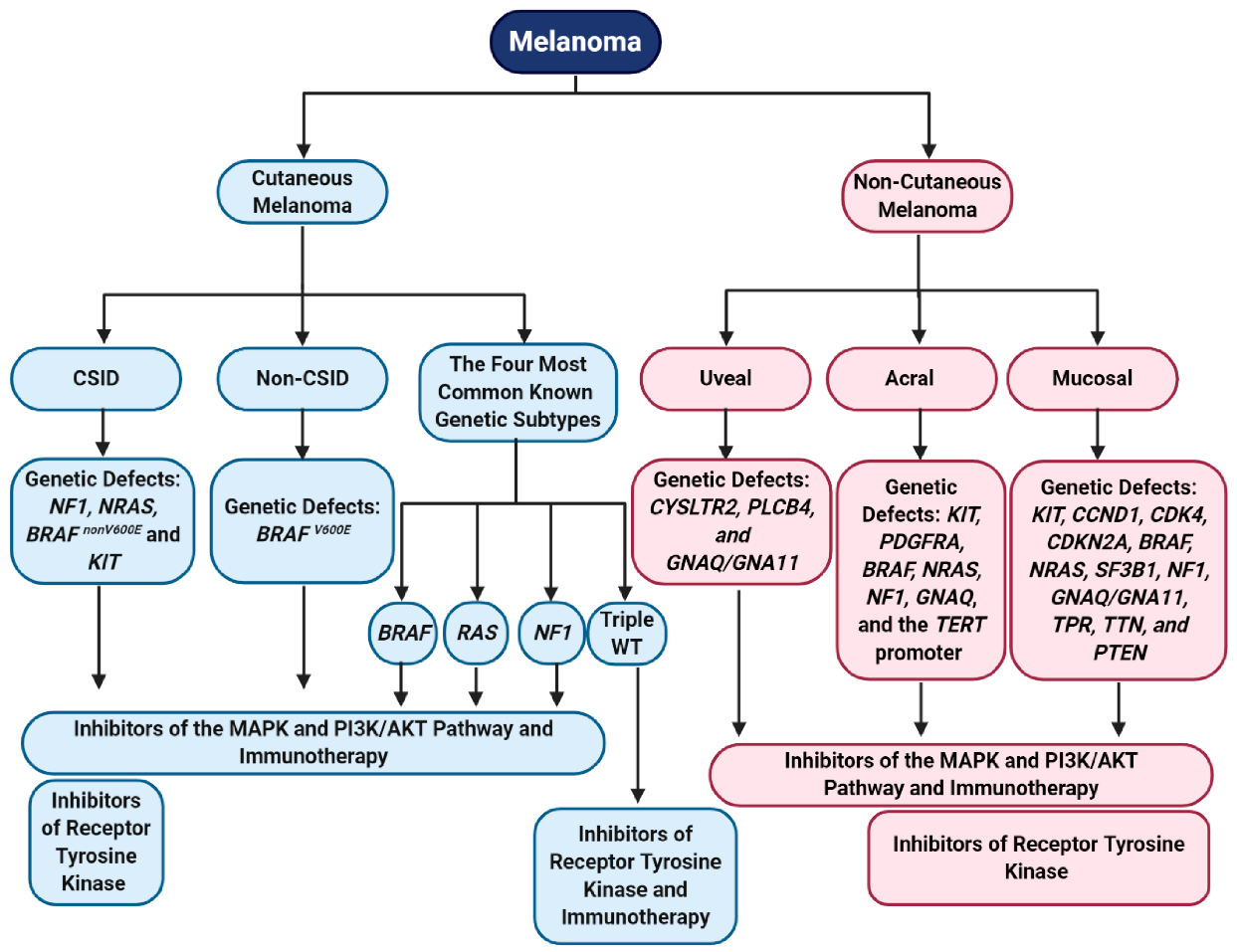 How melanoma evades the immune system
