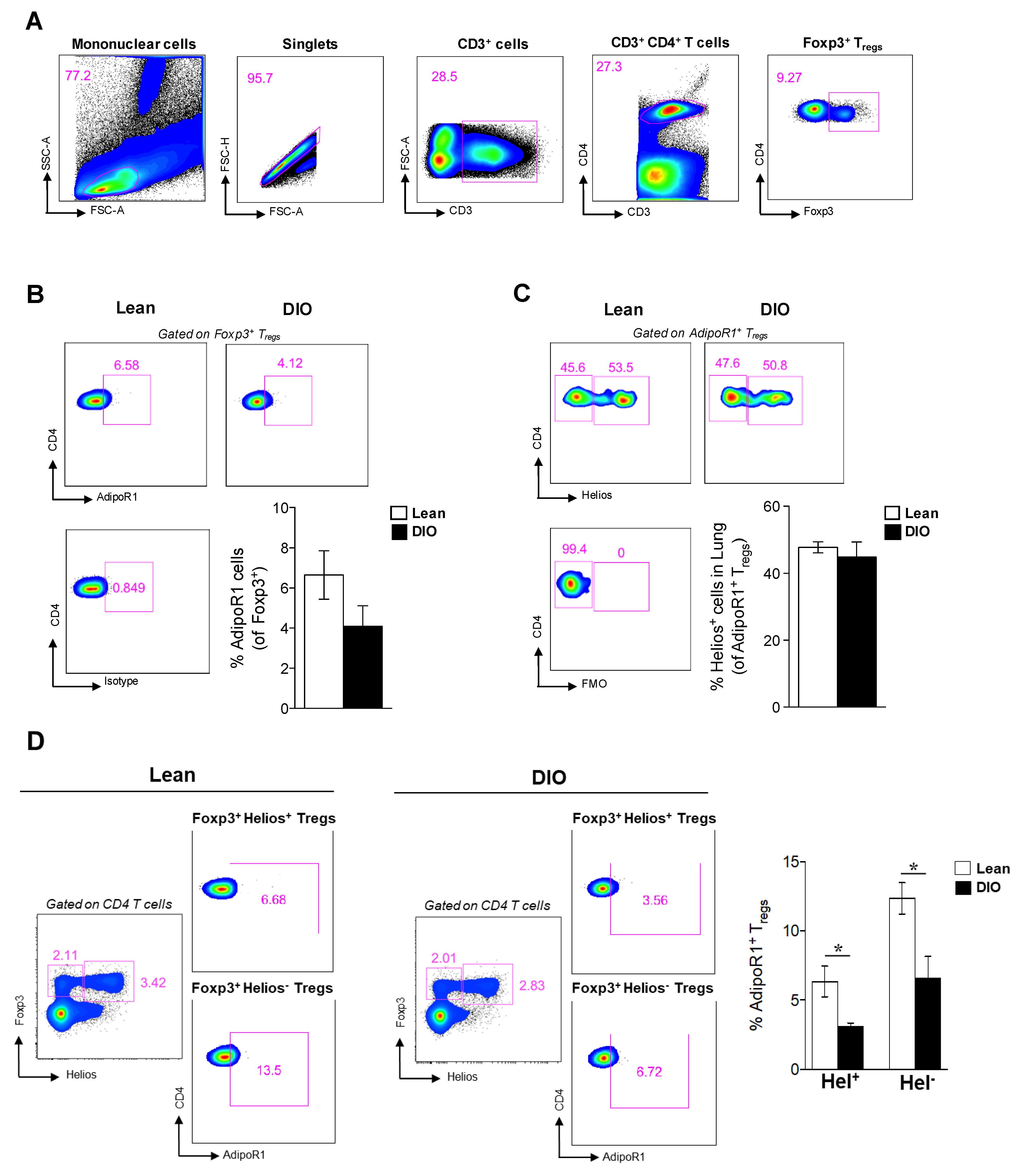 Ijms 21 08990 g002 Ijms 21 08990 g002