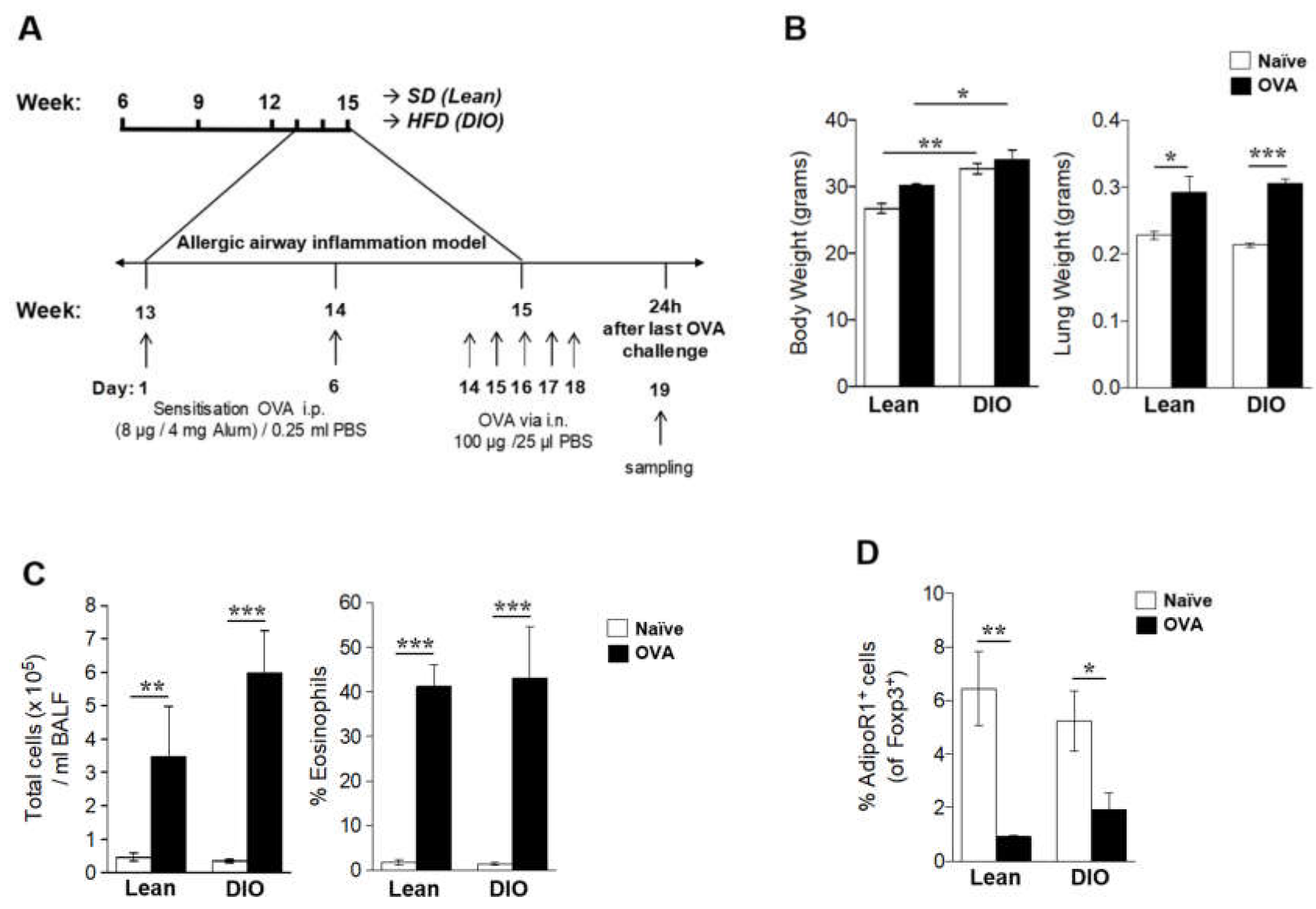 Ijms 21 08990 g003 Ijms 21 08990 g003