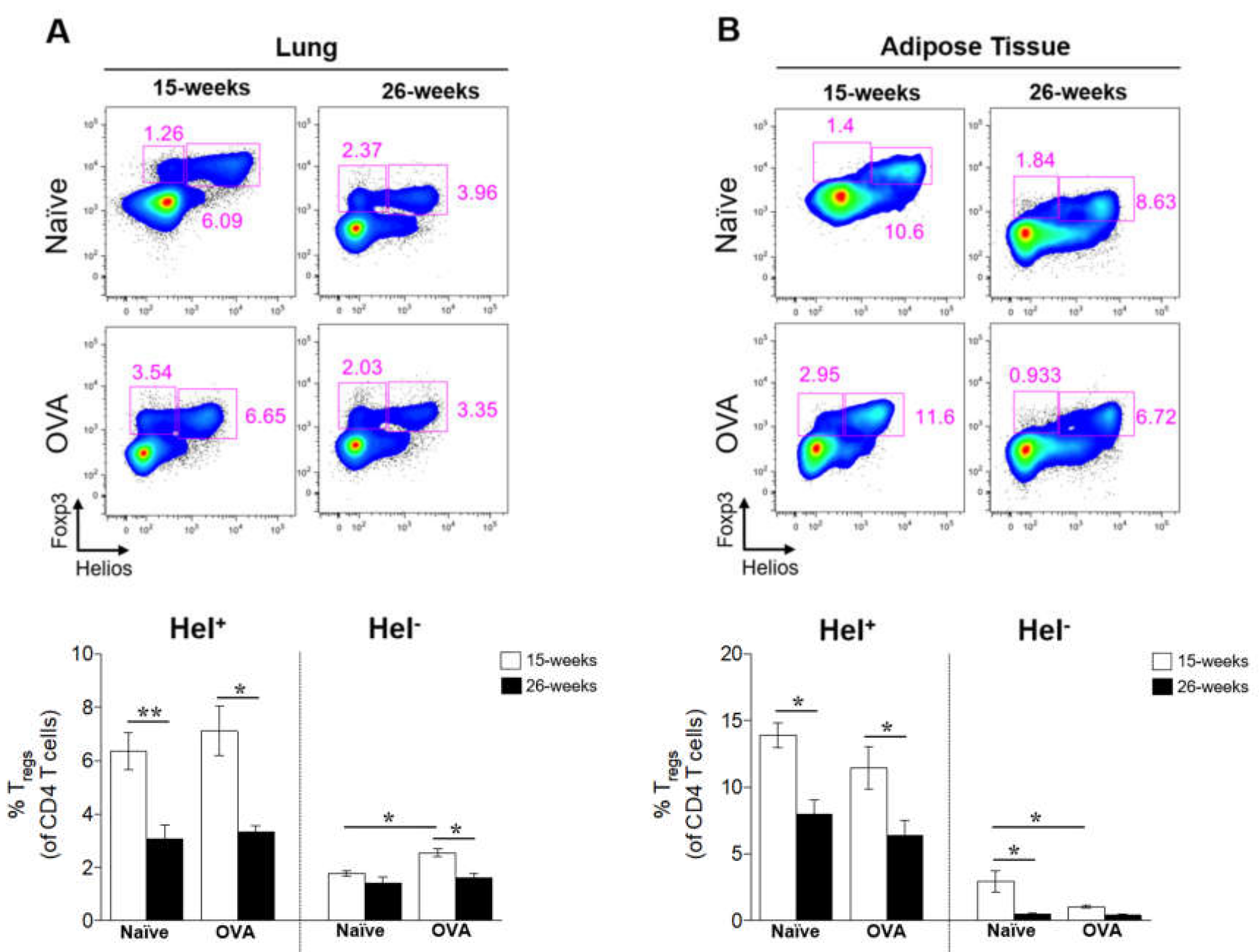 Ijms 21 08990 g005 Ijms 21 08990 g005