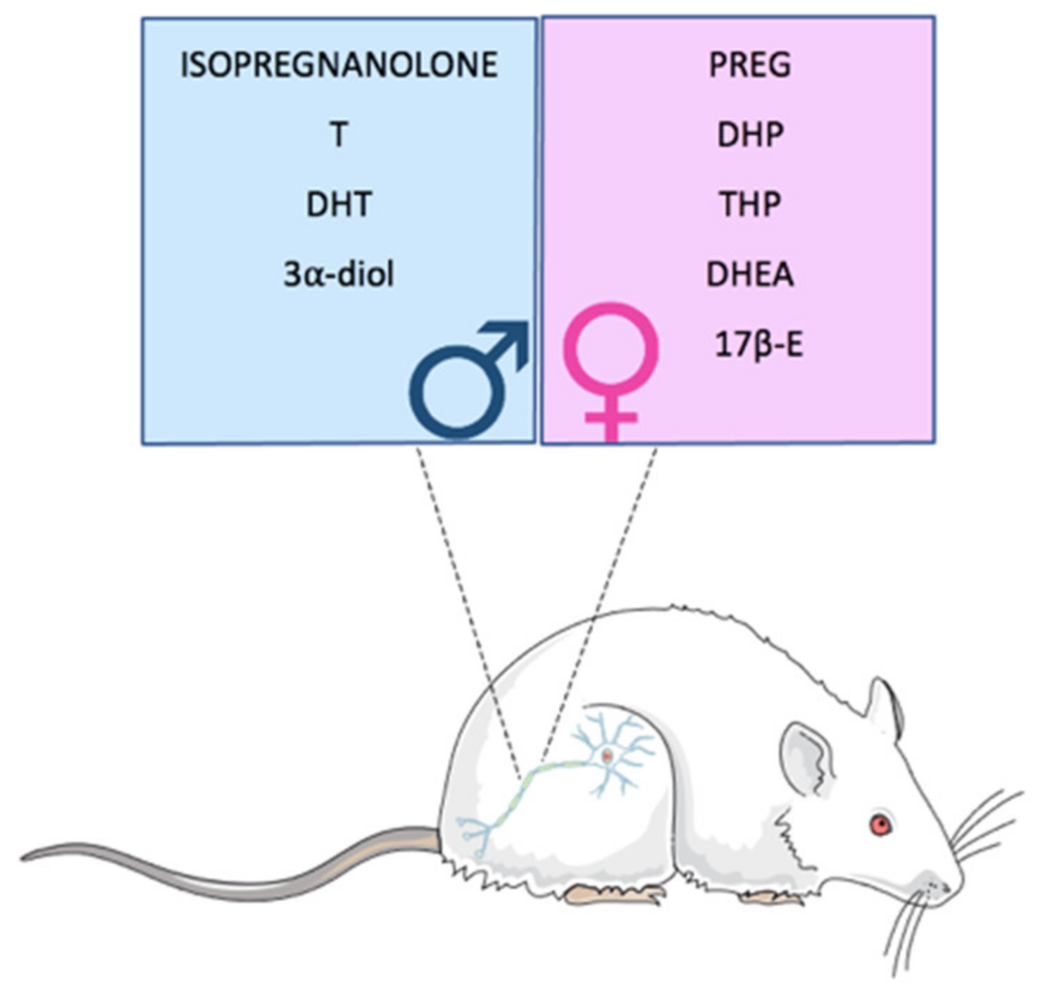 Ijms 21 09000 g002 Ijms 21 09000 g002