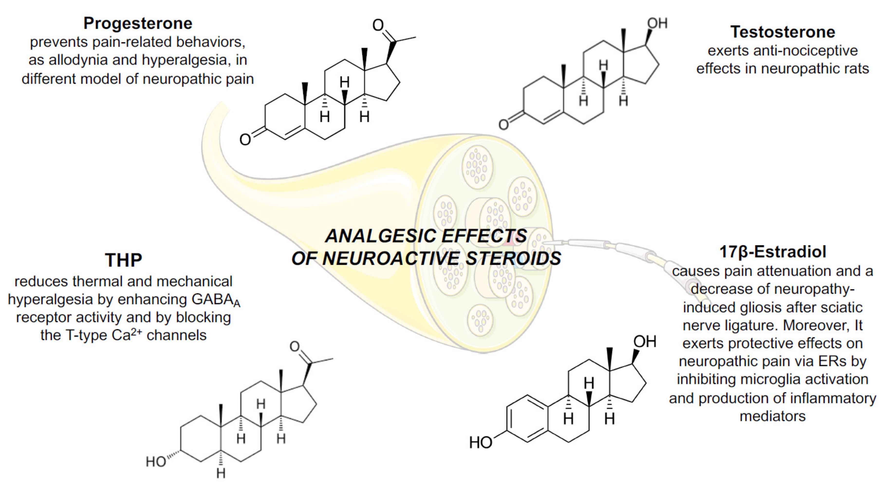 Ijms 21 09000 g003 Ijms 21 09000 g003