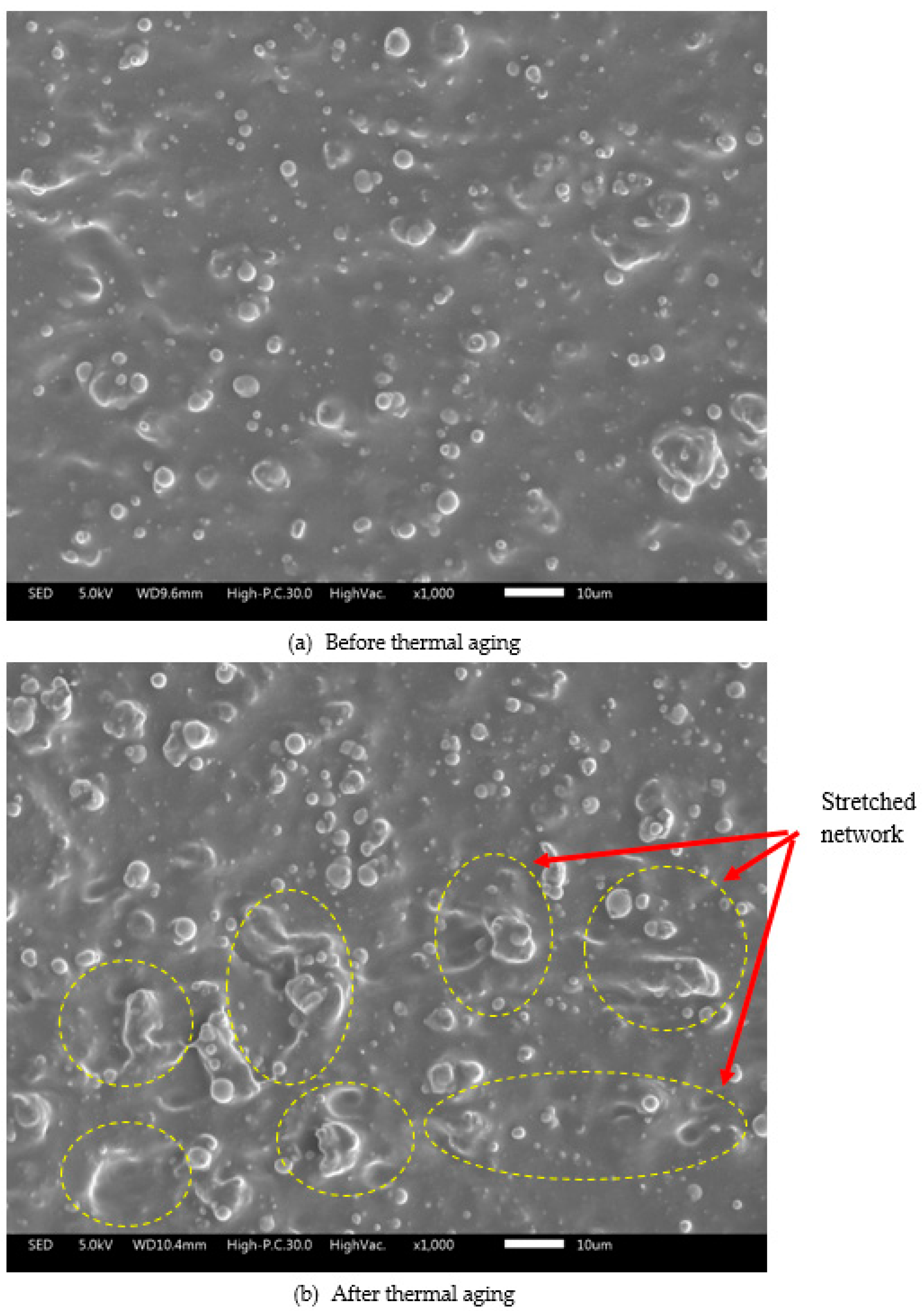 Ijms 21 09007 g002 Ijms 21 09007 g002