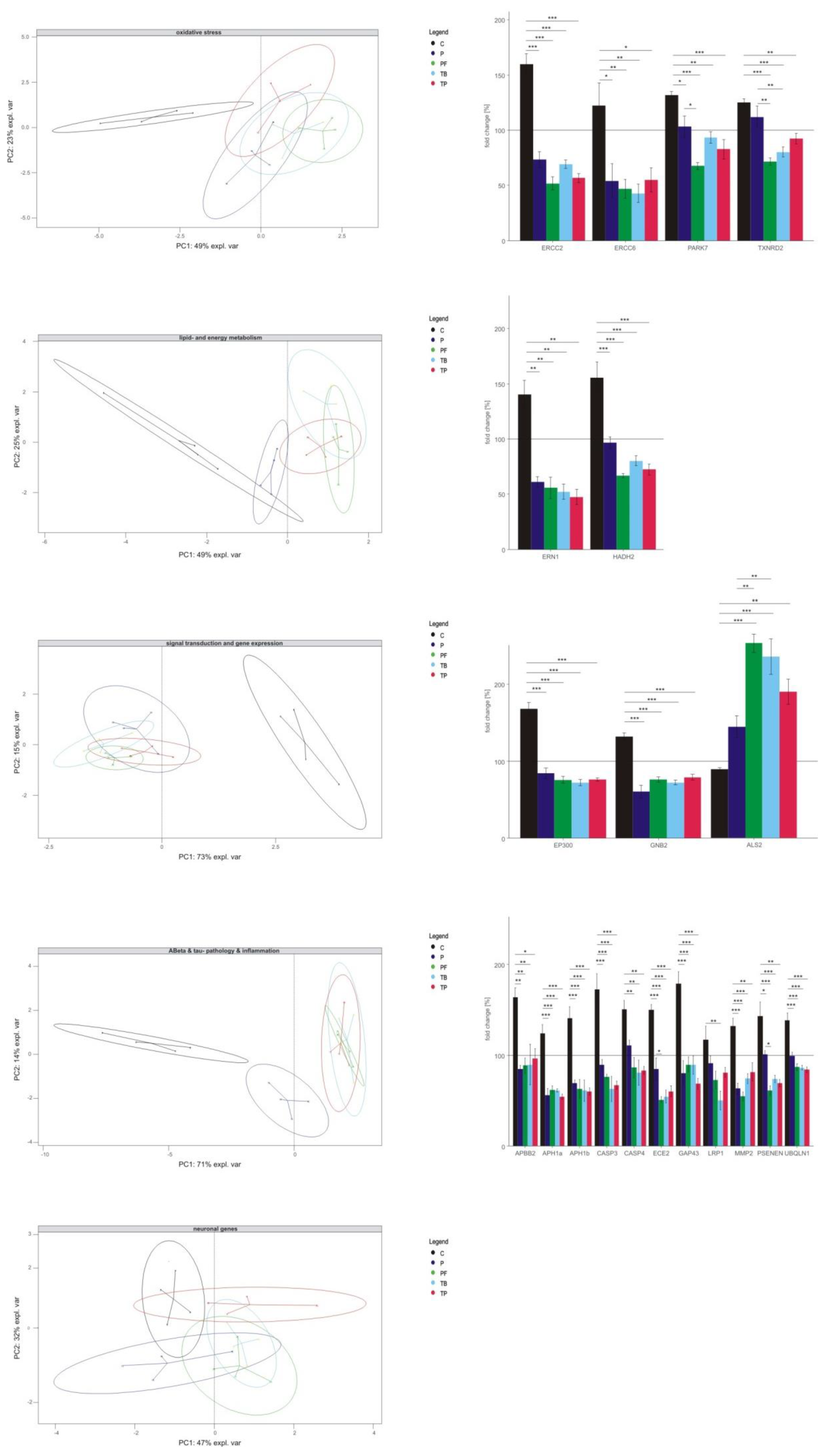 Ijms 21 09015 g005 Ijms 21 09015 g005