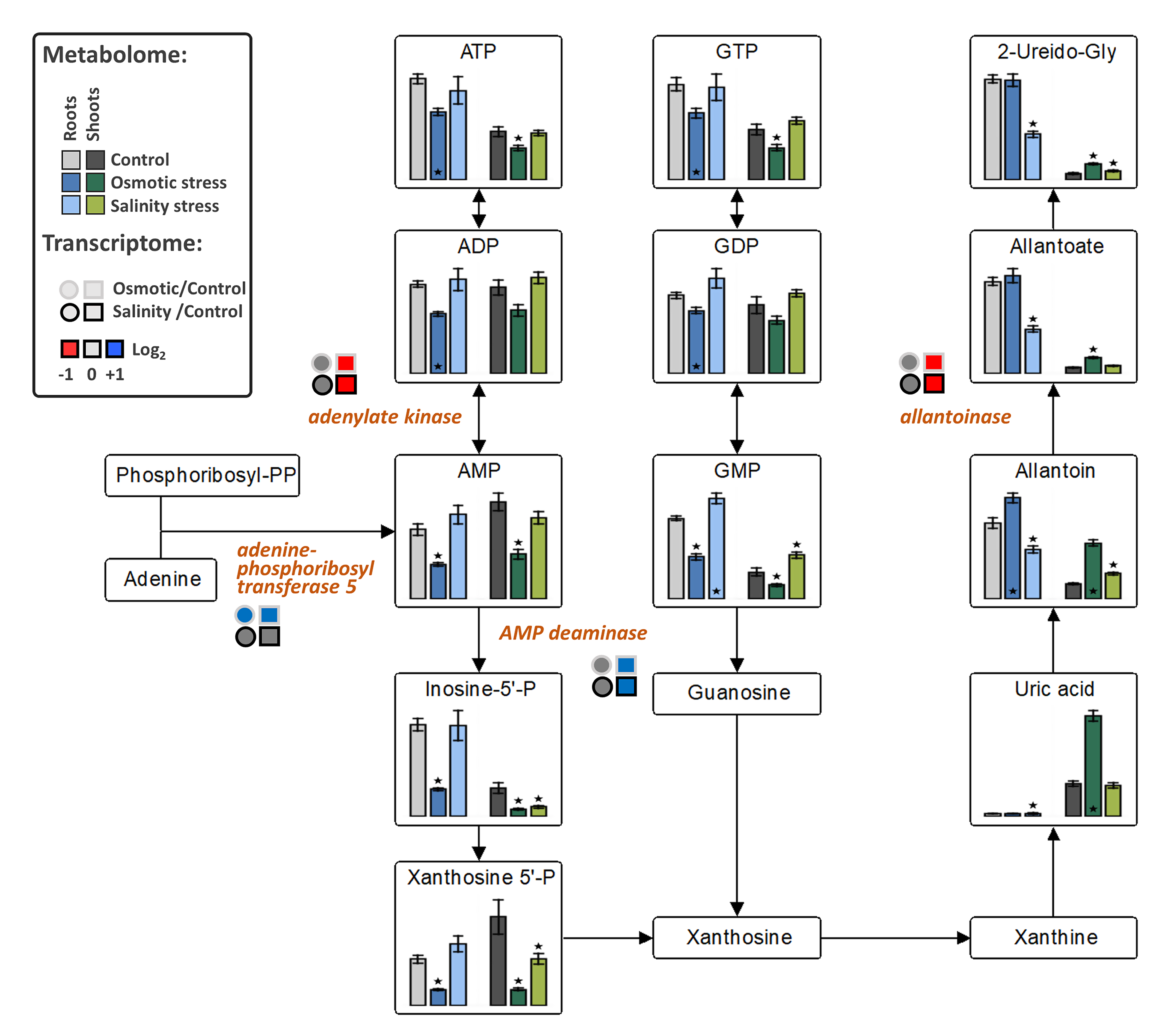 Ijms 21 09019 g006 Ijms 21 09019 g006