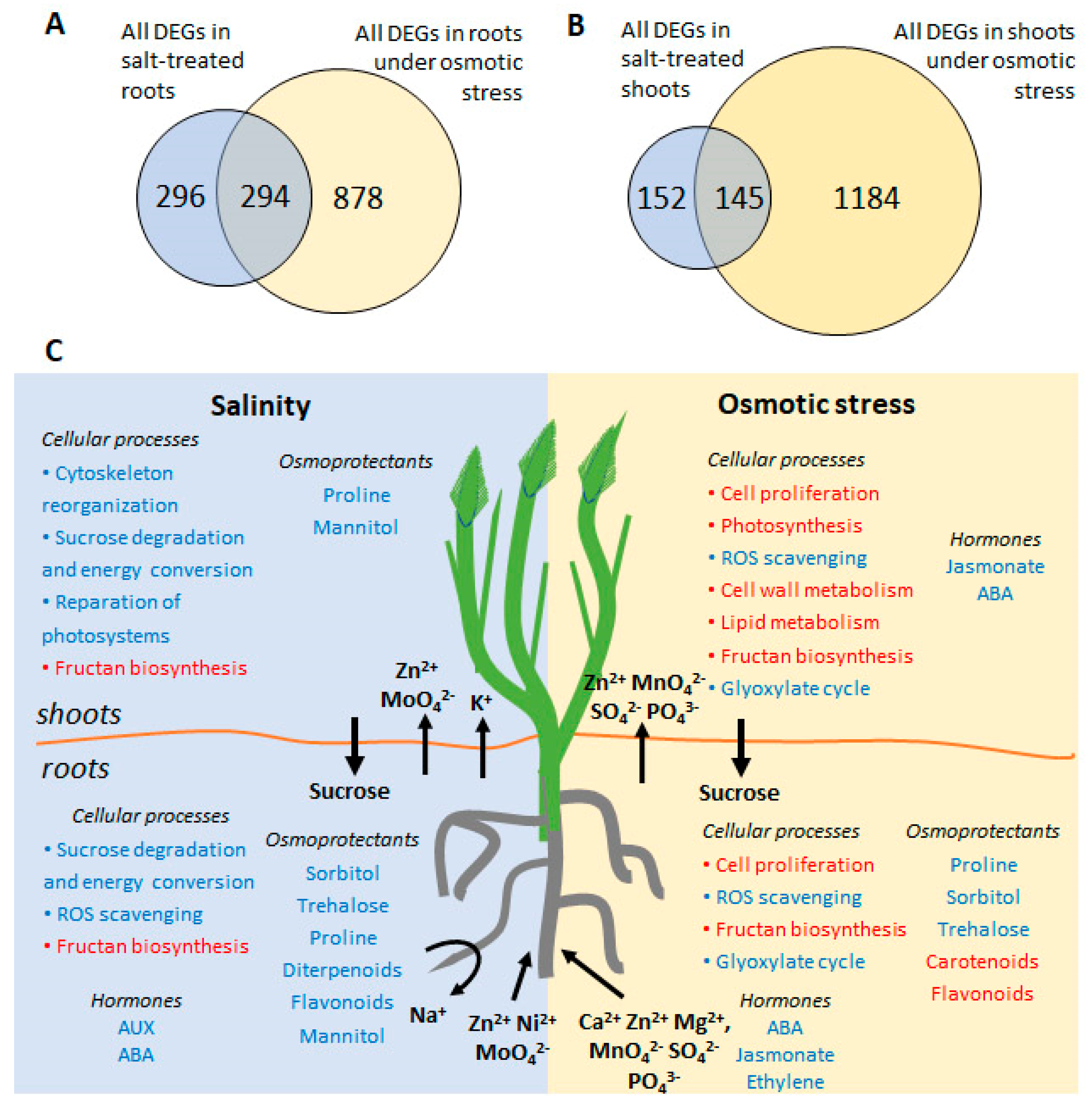 Ijms 21 09019 g007 Ijms 21 09019 g007