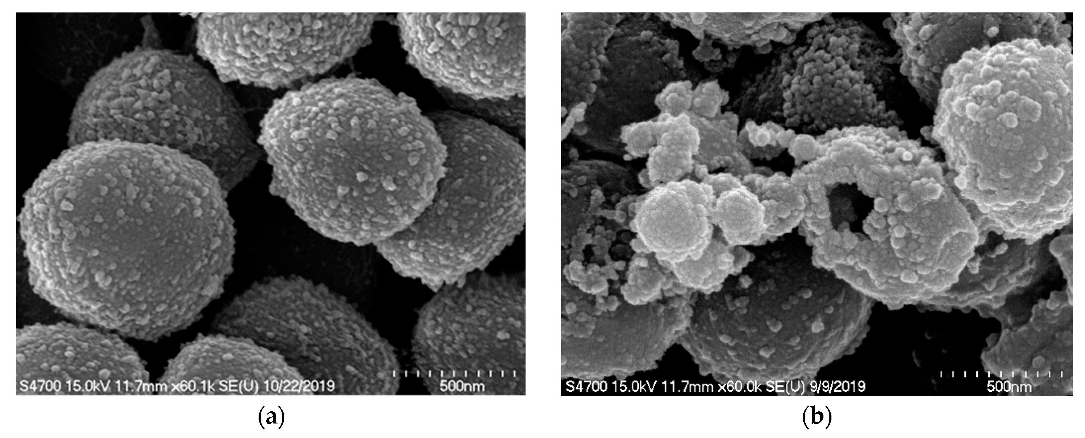 Ijms 21 09024 g003a Ijms 21 09024 g003a