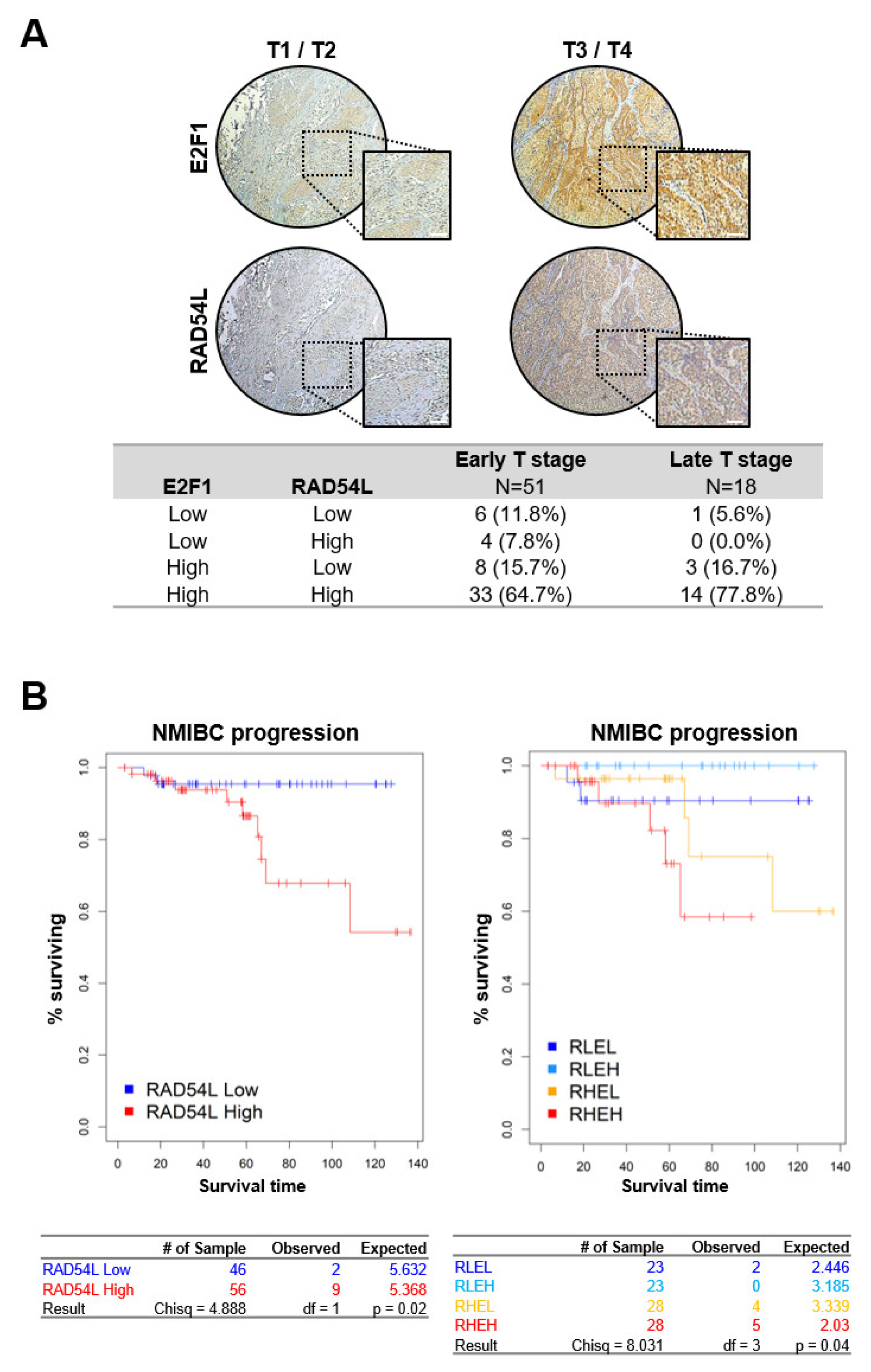 Ijms 21 09025 g006 Ijms 21 09025 g006