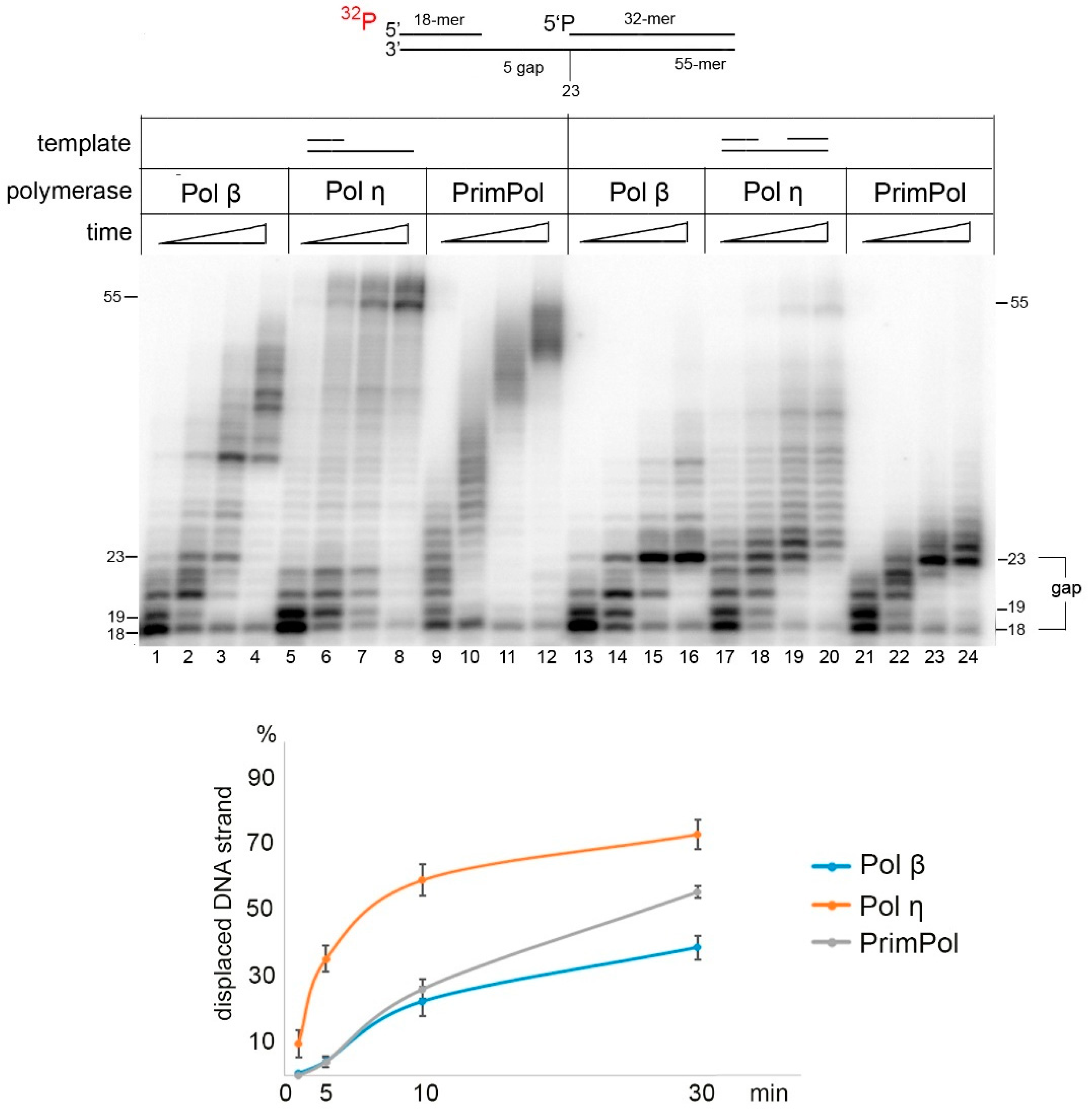 Ijms 21 09027 g002 Ijms 21 09027 g002