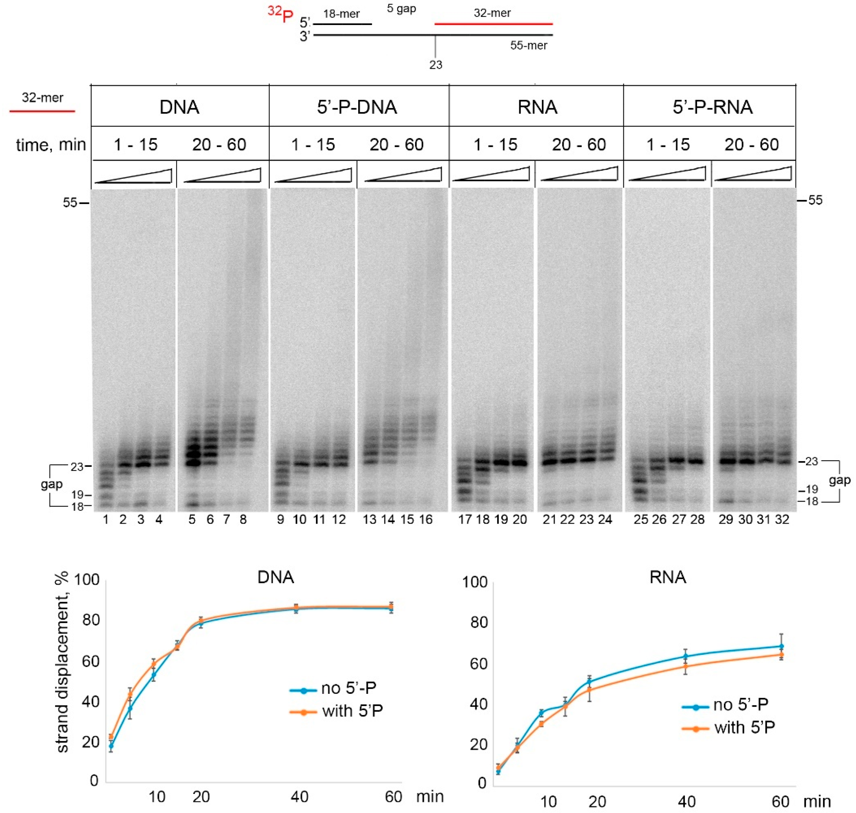 Ijms 21 09027 g003 Ijms 21 09027 g003