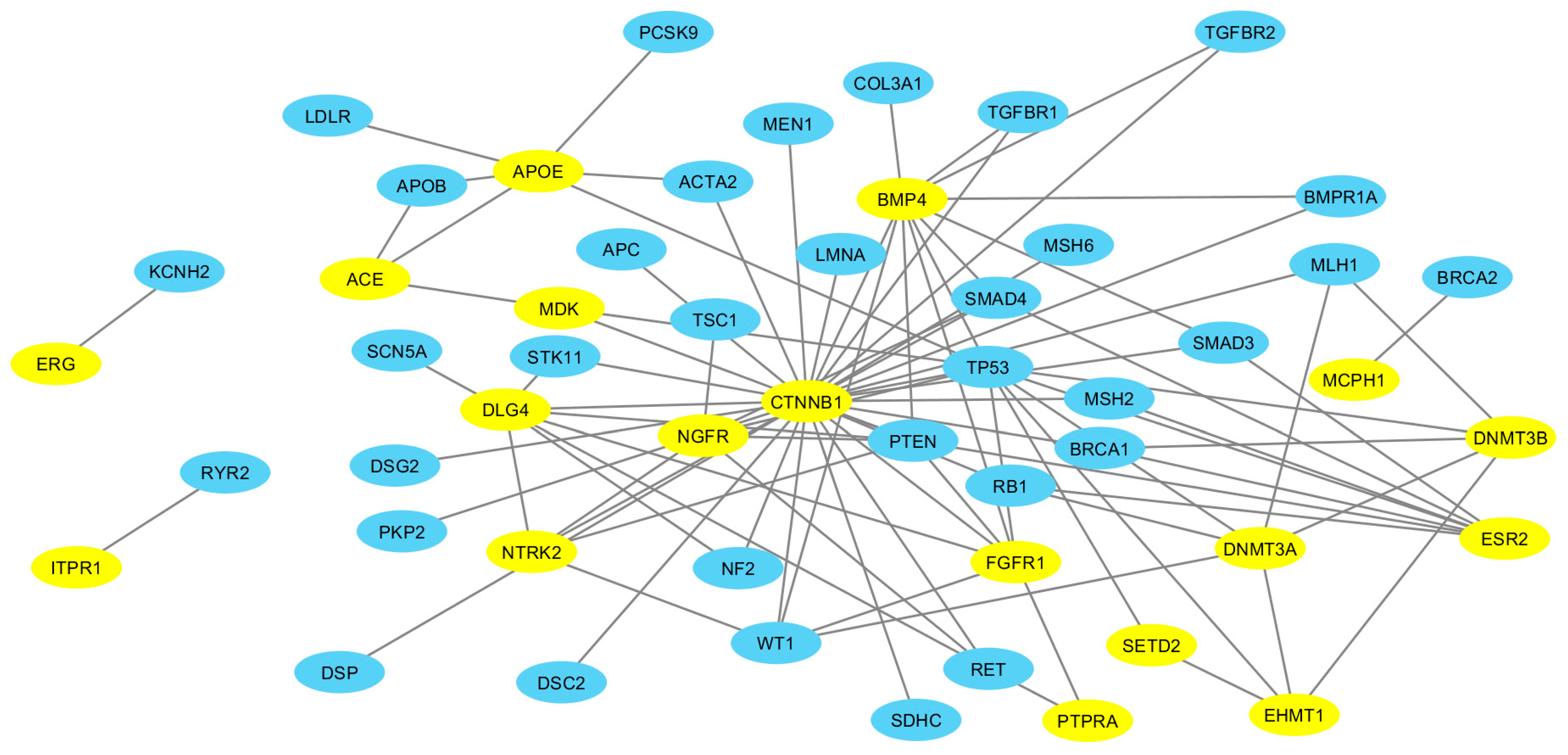 Ijms 21 09029 g003 Ijms 21 09029 g003