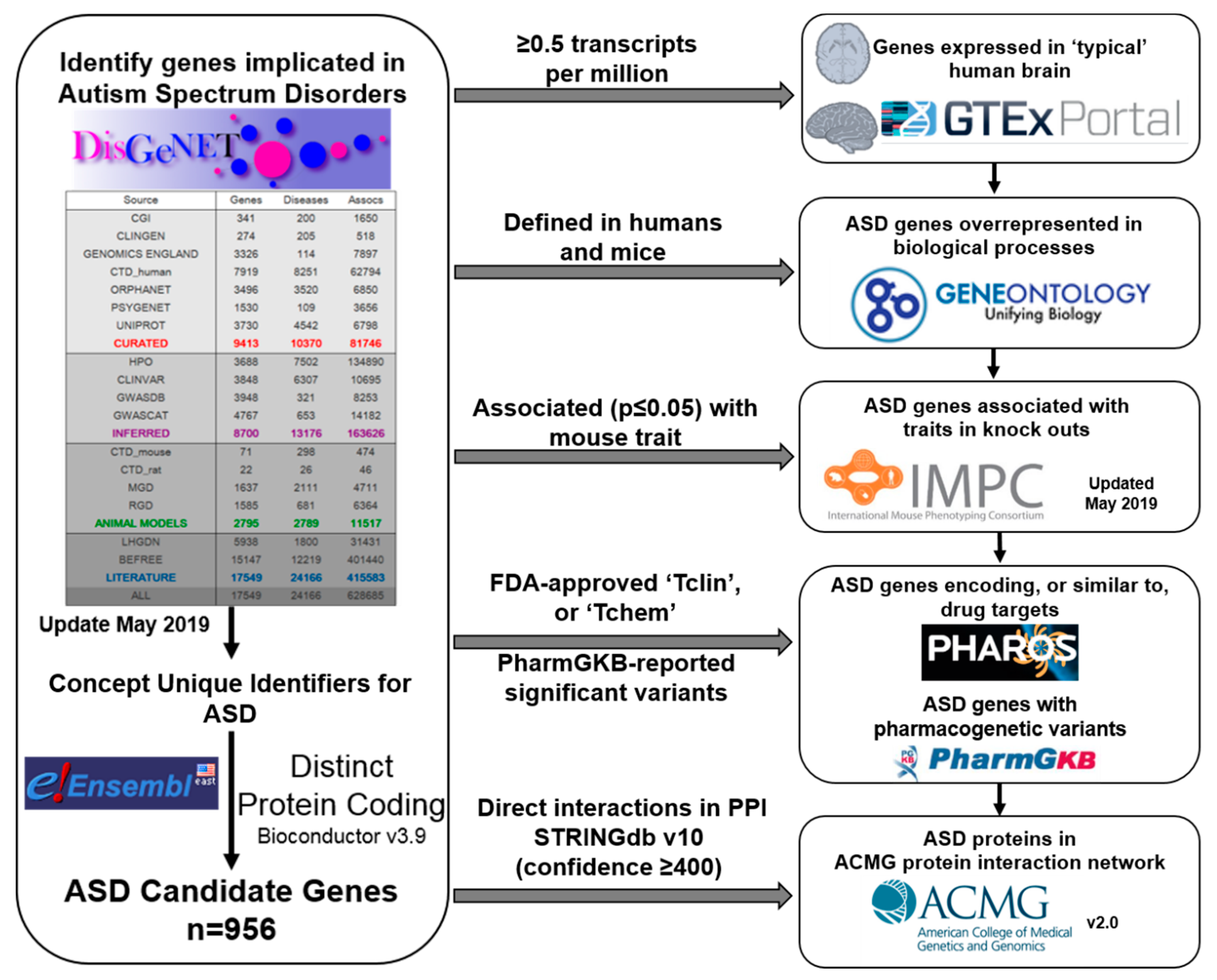 Ijms 21 09029 g004 Ijms 21 09029 g004