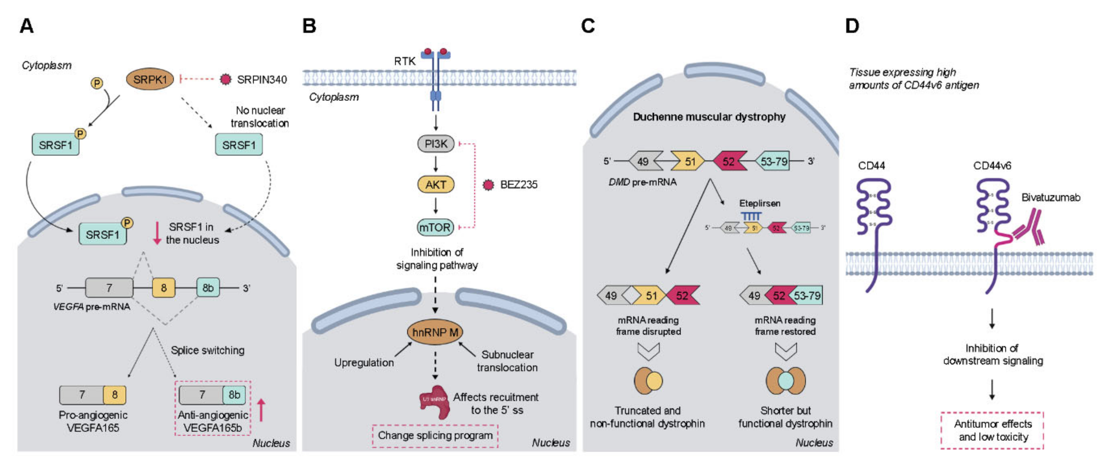 Ijms 21 09032 g002 Ijms 21 09032 g002