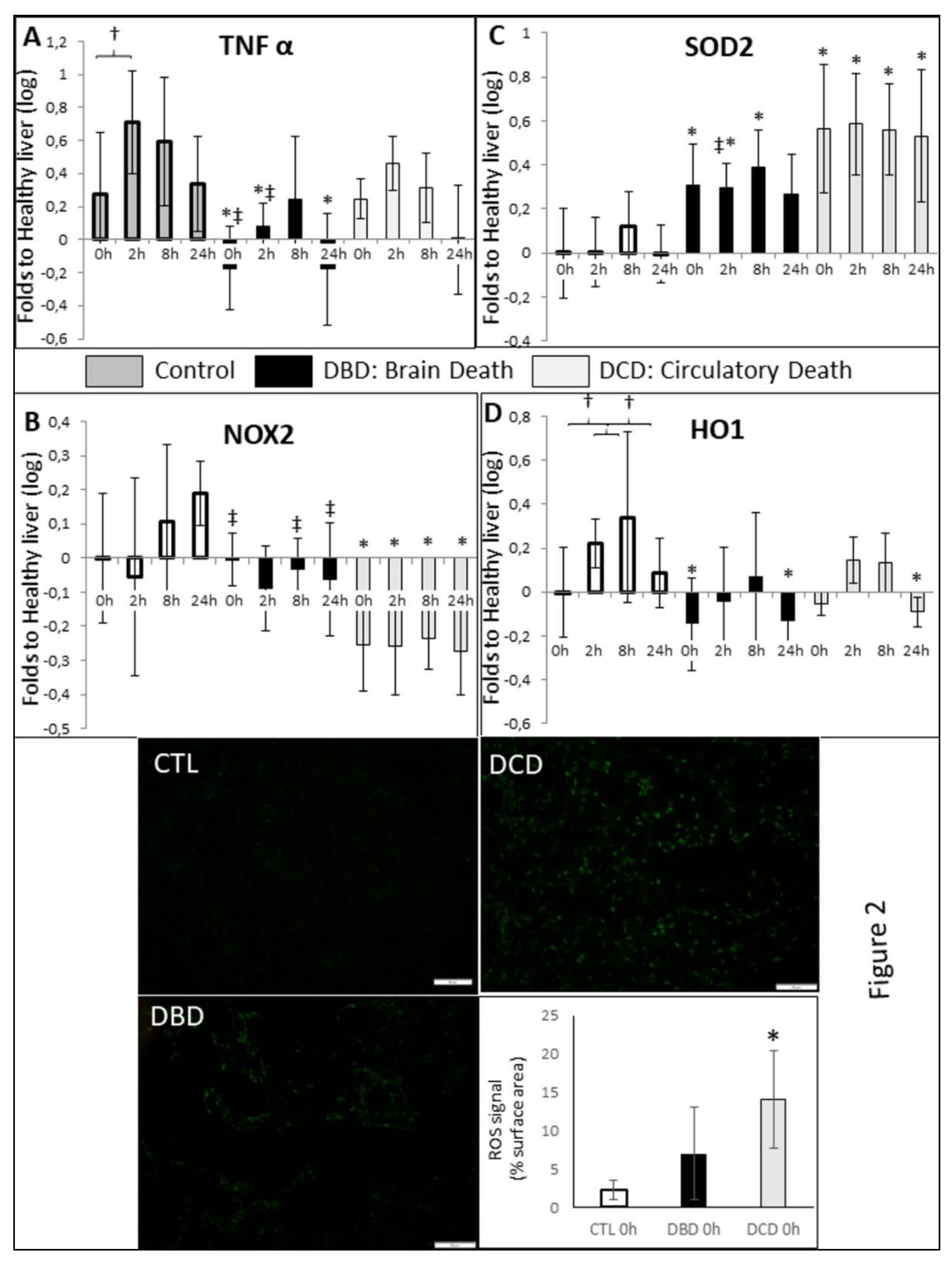 Ijms 21 09040 g002 Ijms 21 09040 g002