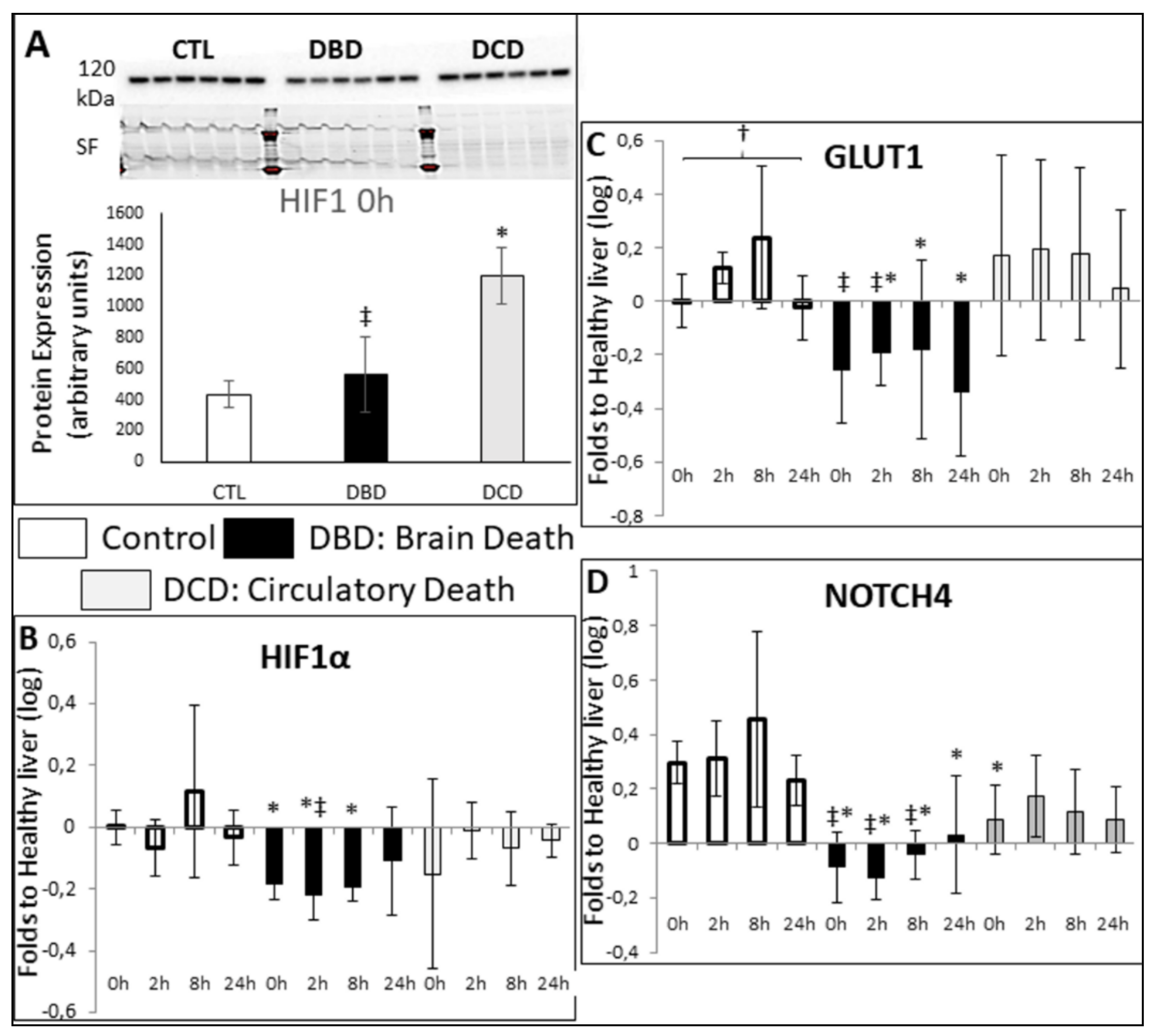 Ijms 21 09040 g005 Ijms 21 09040 g005