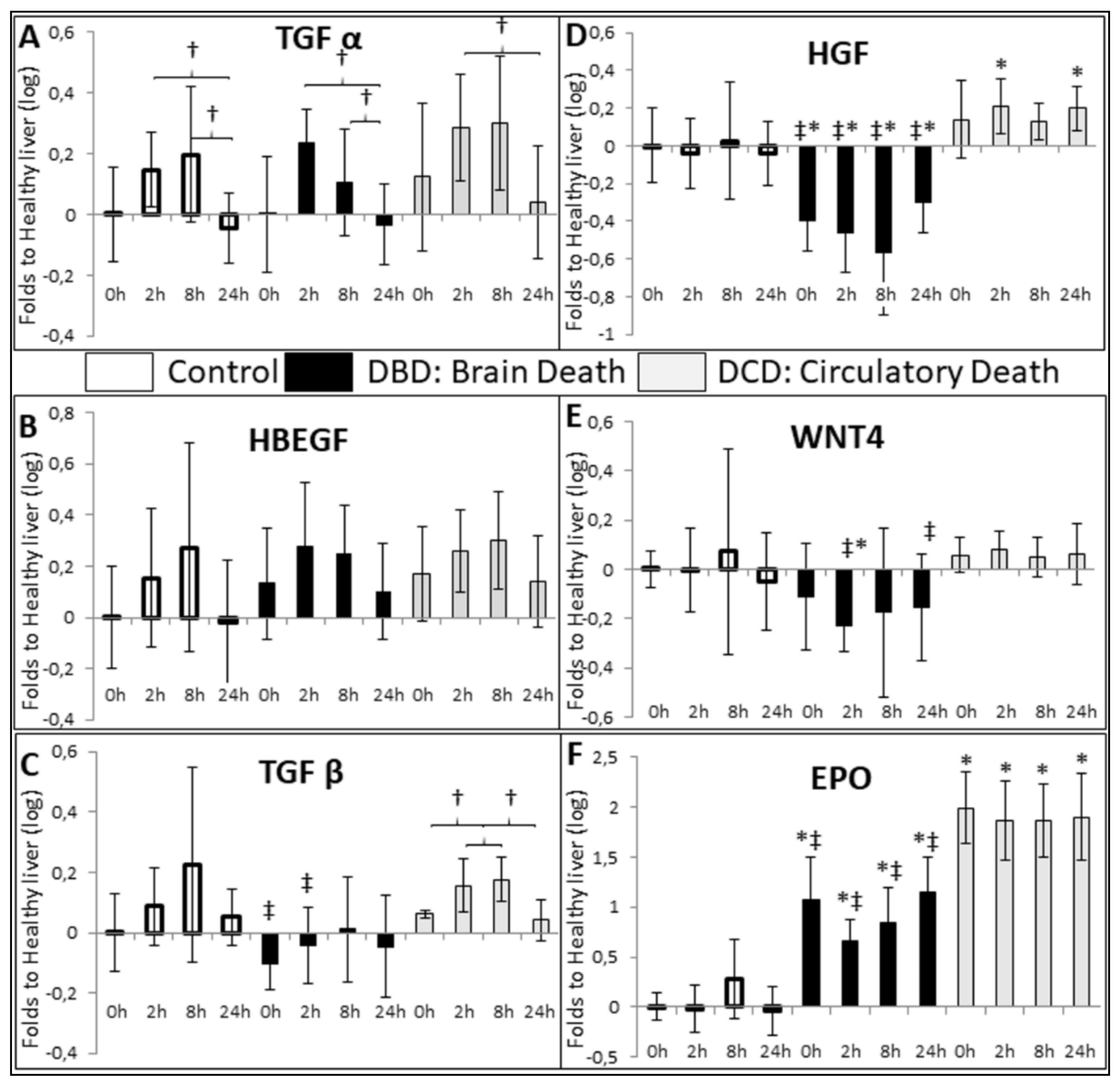 Ijms 21 09040 g006 Ijms 21 09040 g006