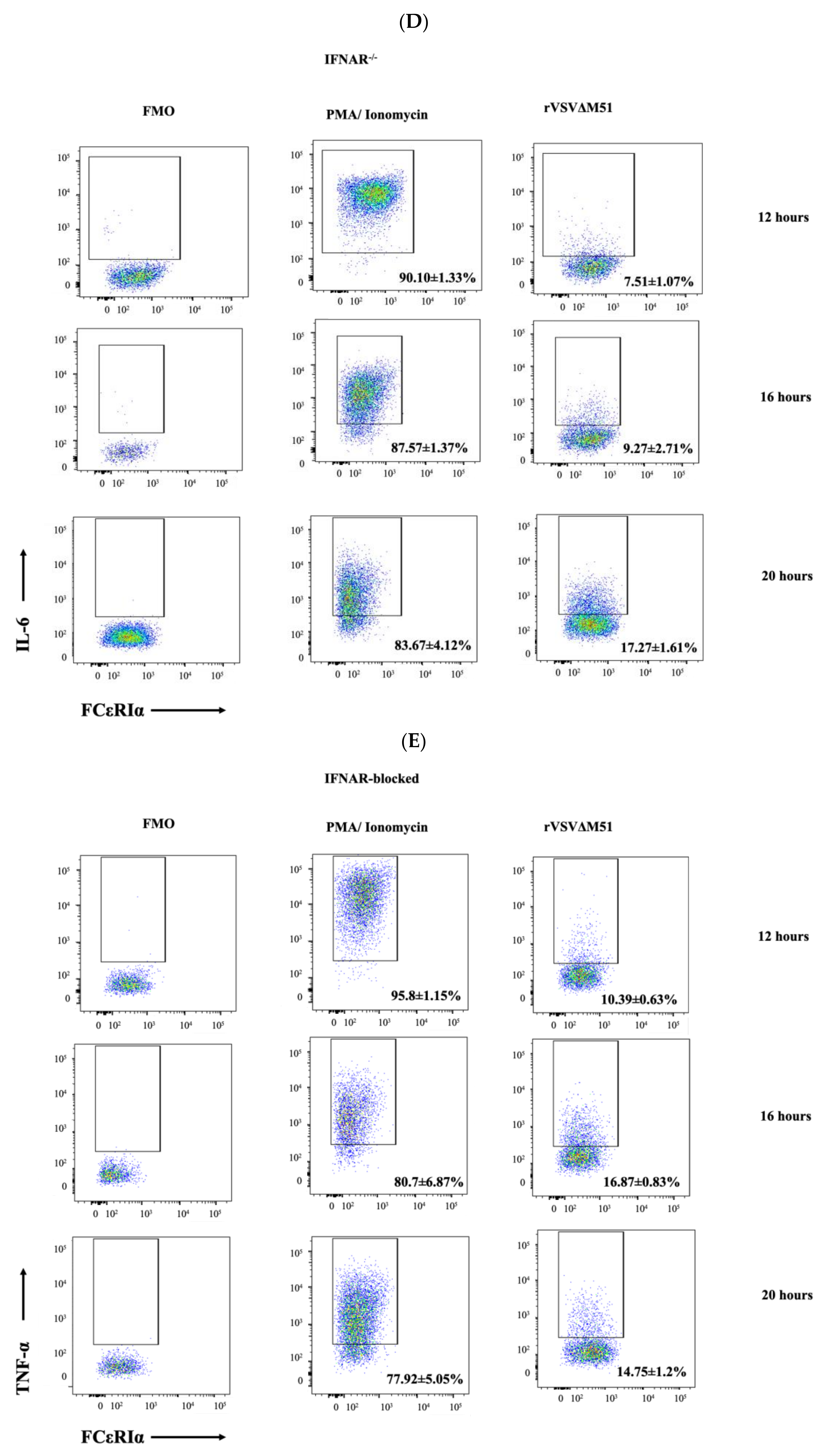 Ijms 21 09041 g005c Ijms 21 09041 g005c
