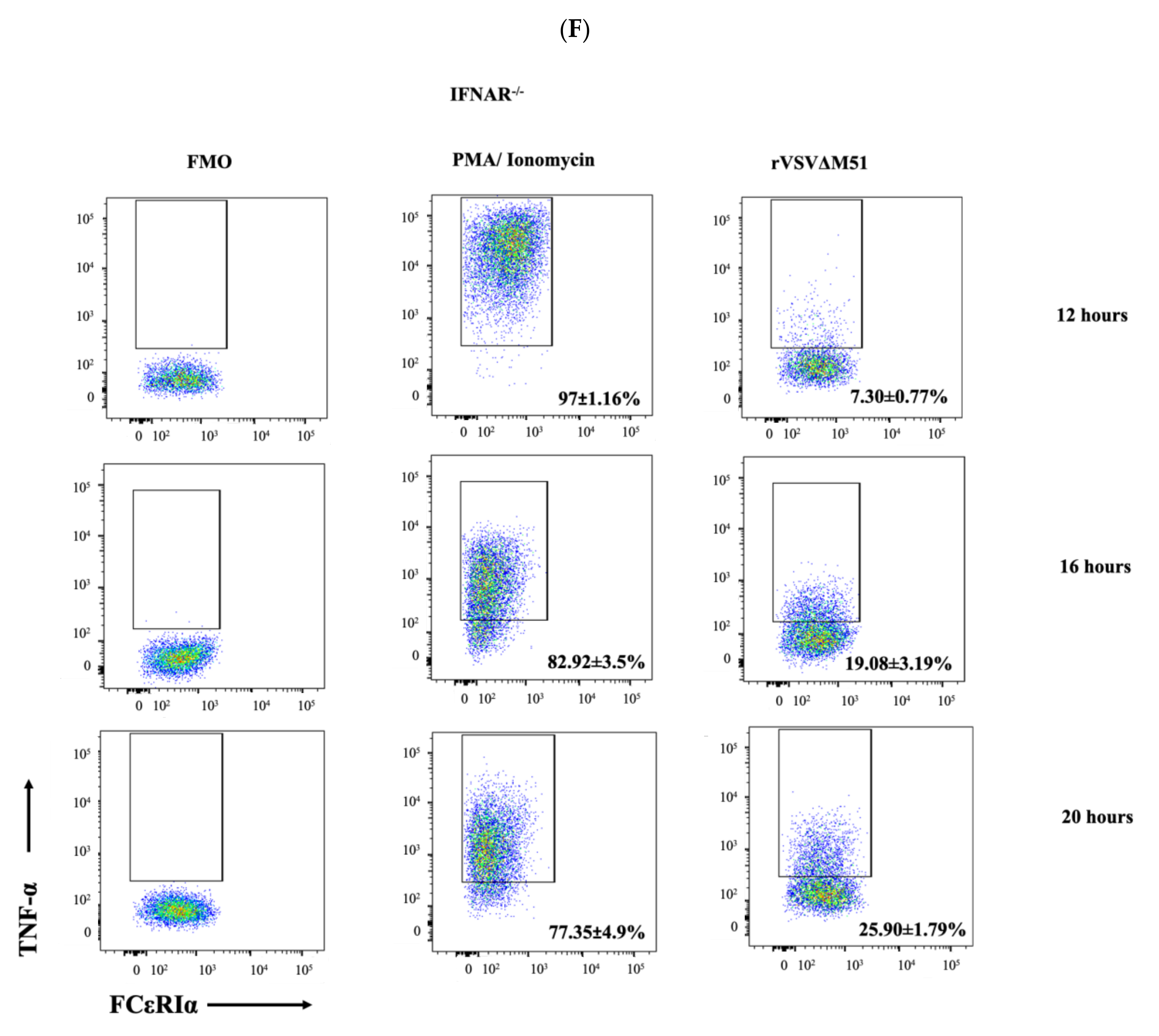 Ijms 21 09041 g005d Ijms 21 09041 g005d