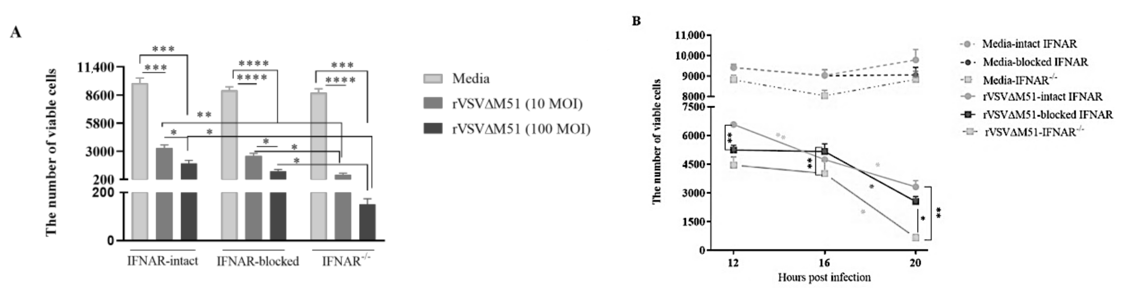 Ijms 21 09041 g006 Ijms 21 09041 g006