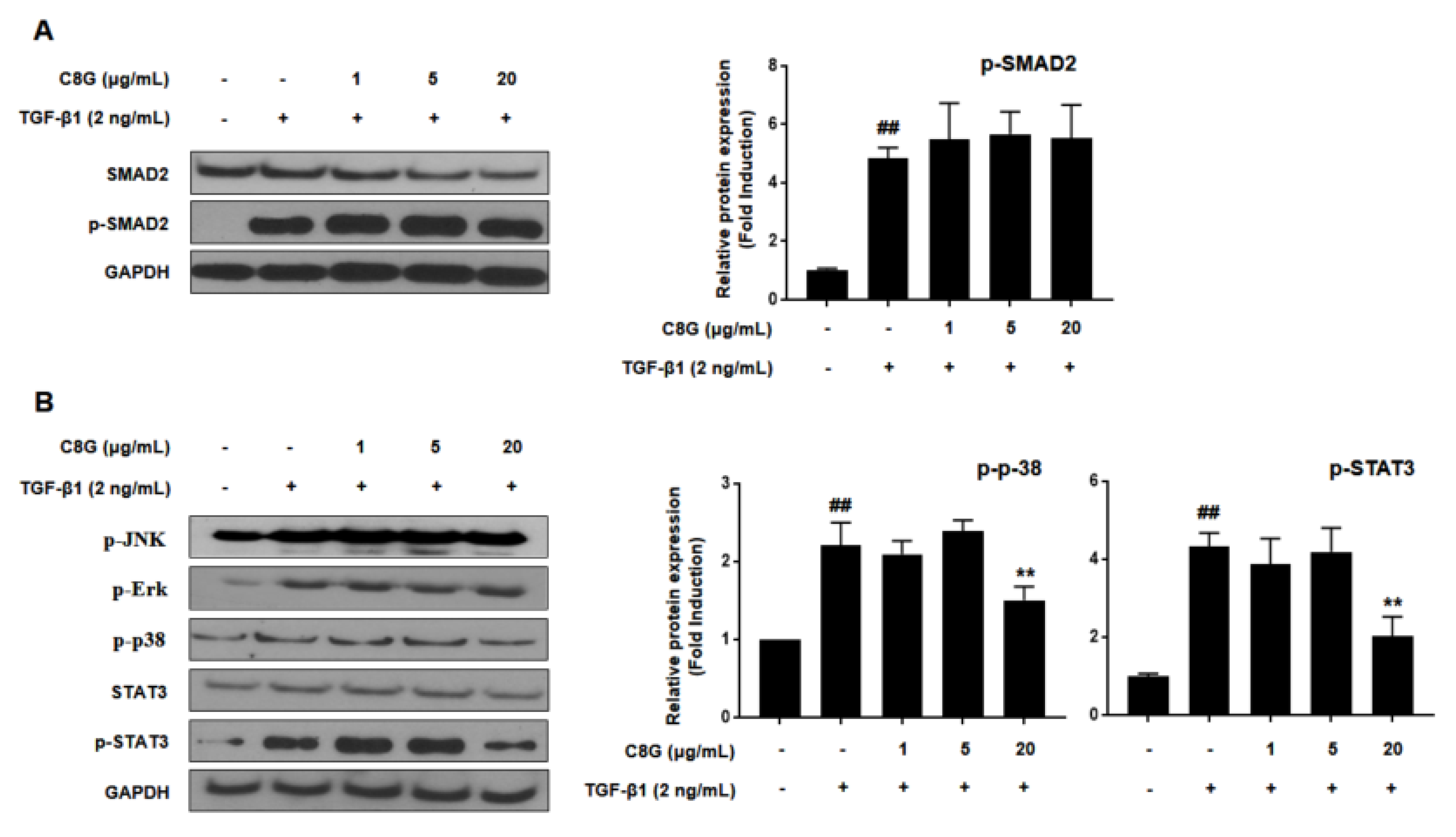 ポリシーサンブロック　UV 2本セット Hepatoprotective Potency of Chrysophanol 8-O-Glucoside from