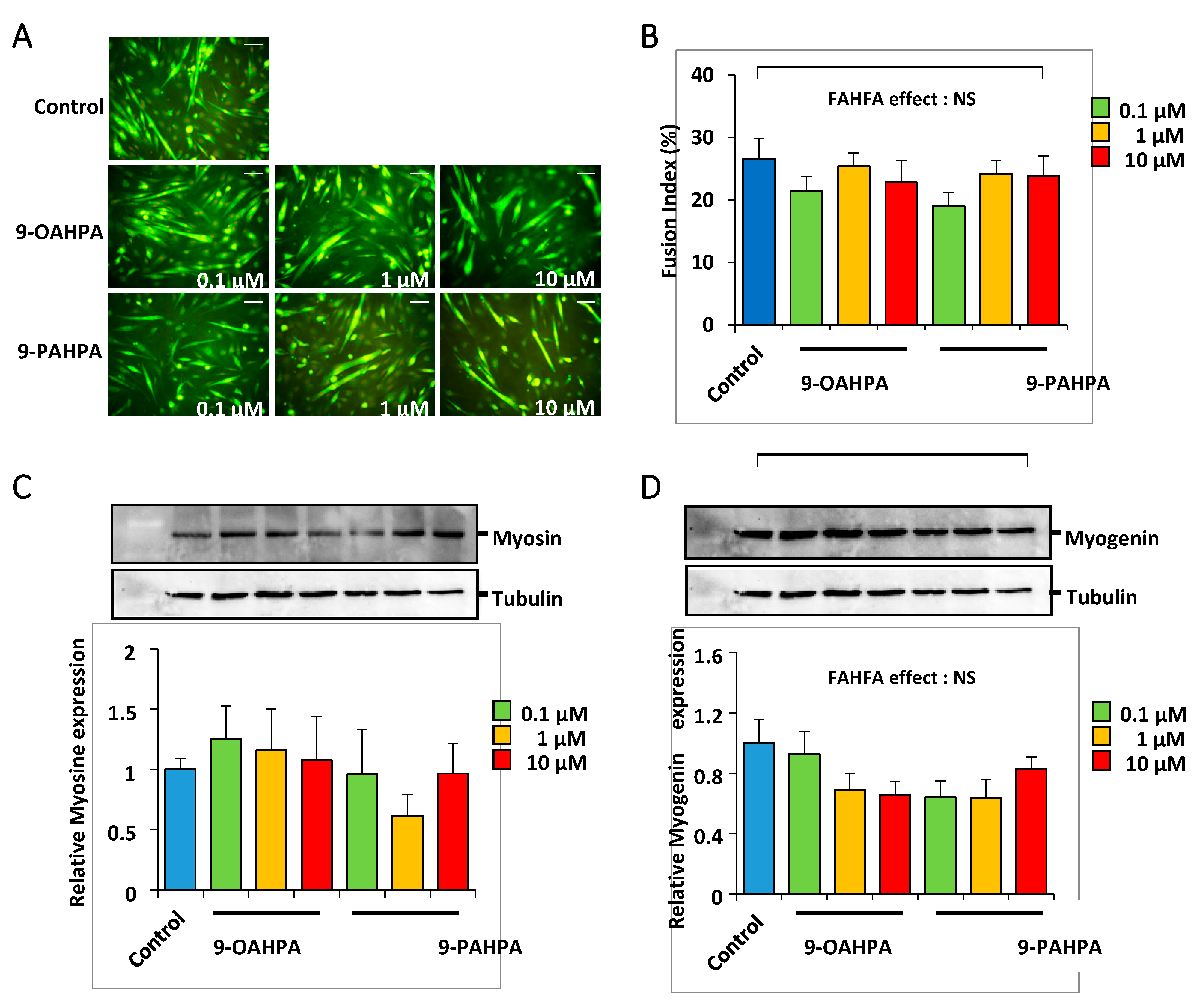 Ijms 21 09046 g005 Ijms 21 09046 g005