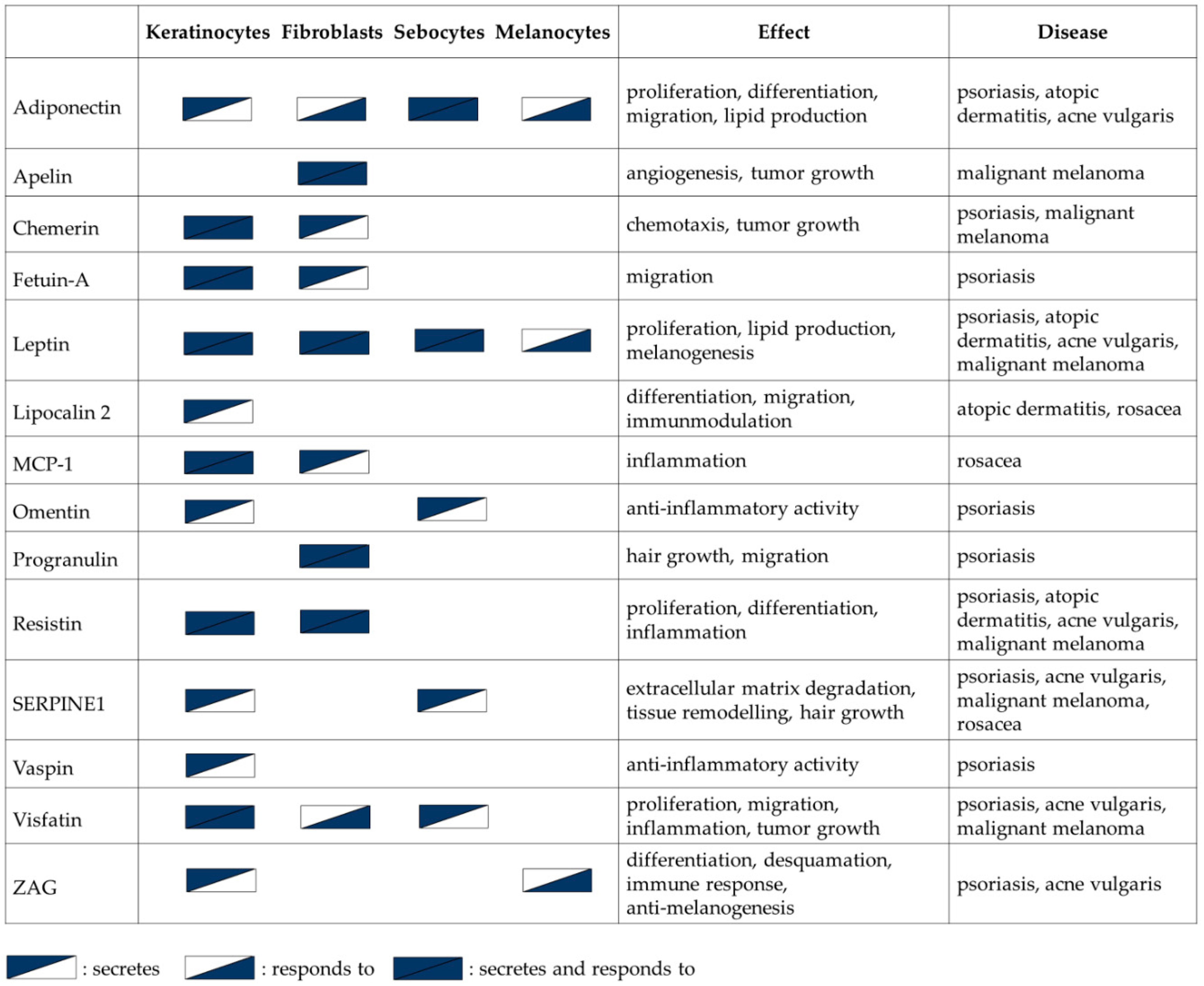 Ijms 21 09048 g001 Ijms 21 09048 g001