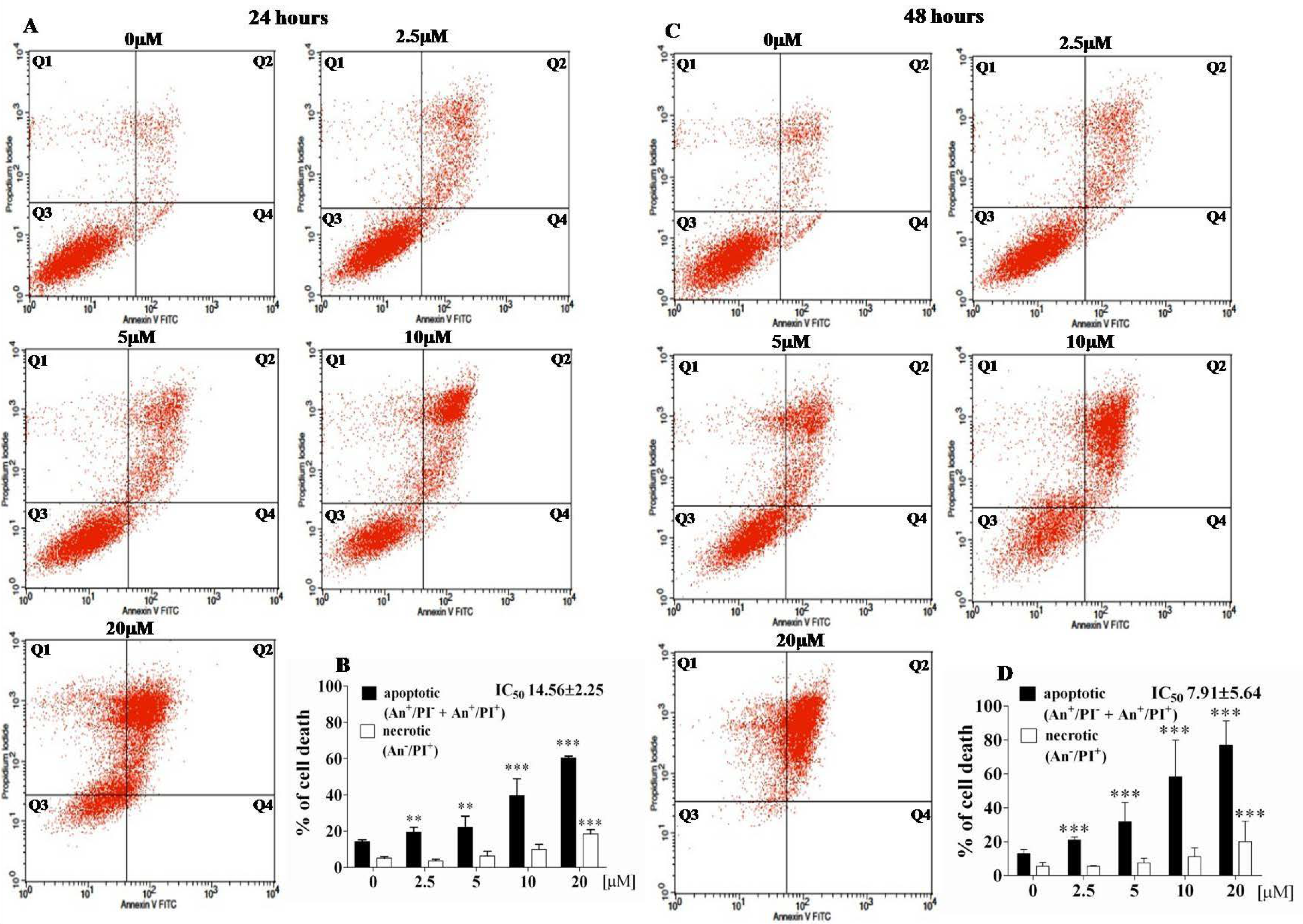 Ijms 21 09050 g006 Ijms 21 09050 g006