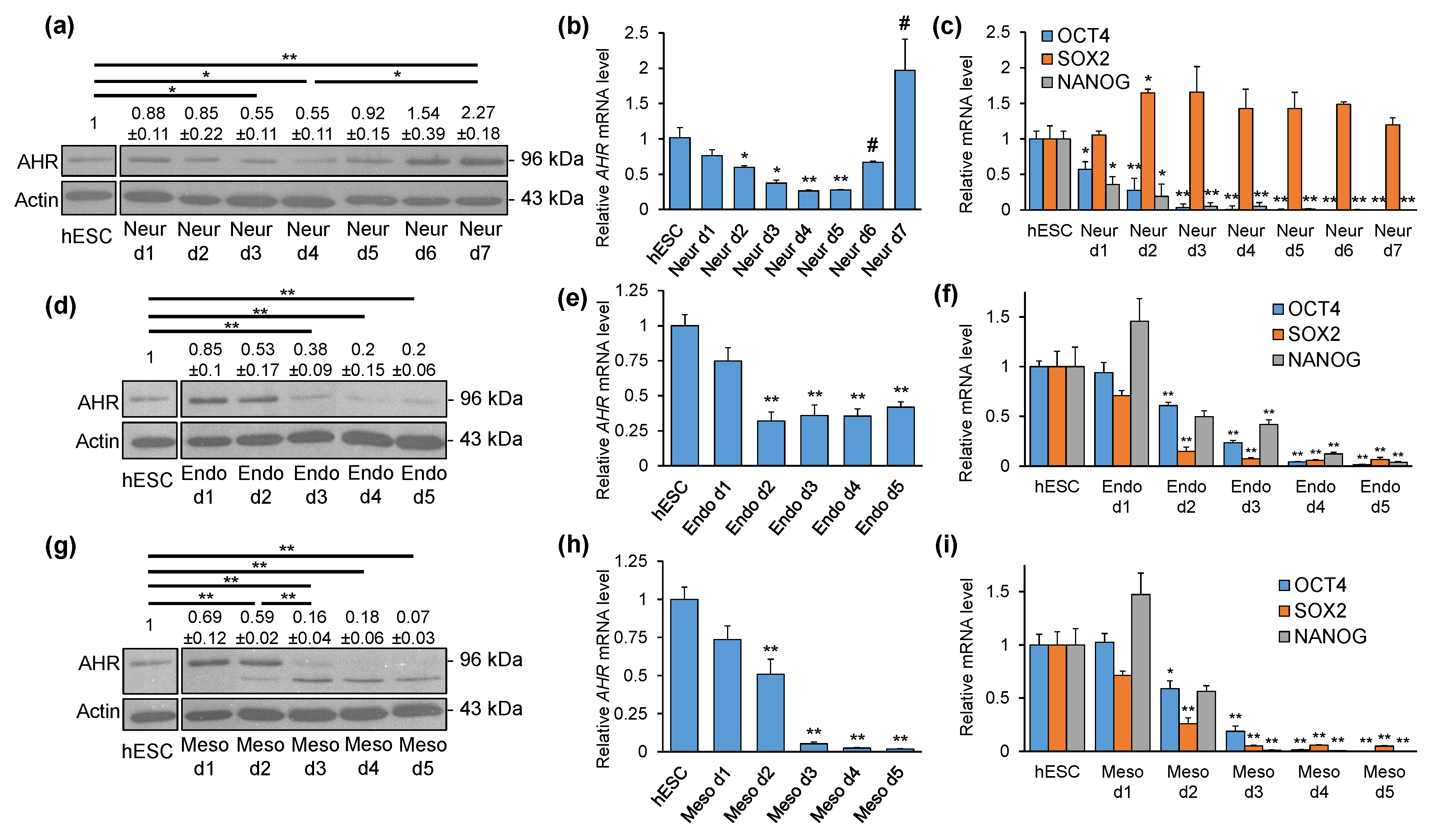 Ijms 21 09052 g002 Ijms 21 09052 g002