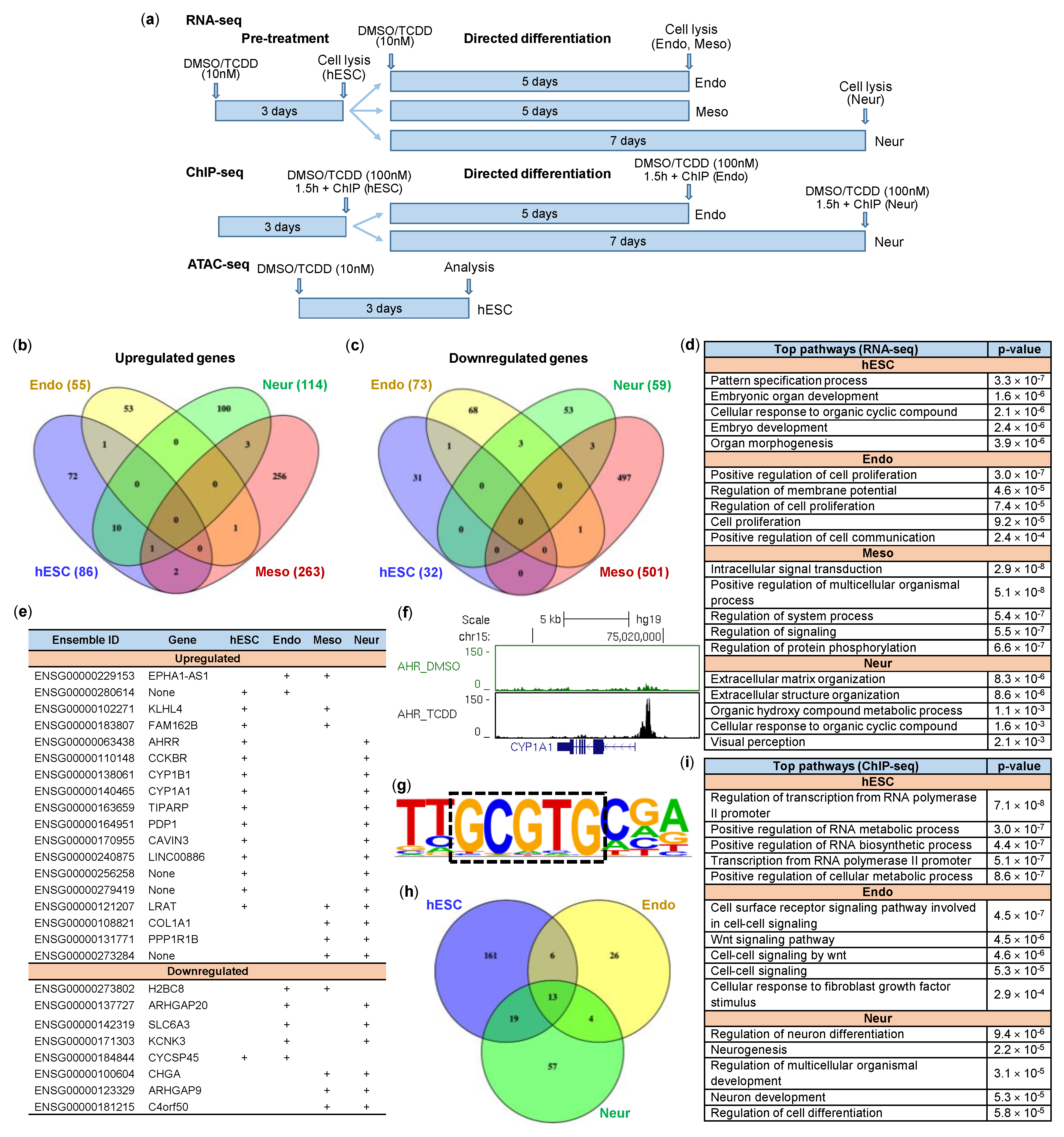 Ijms 21 09052 g004 Ijms 21 09052 g004