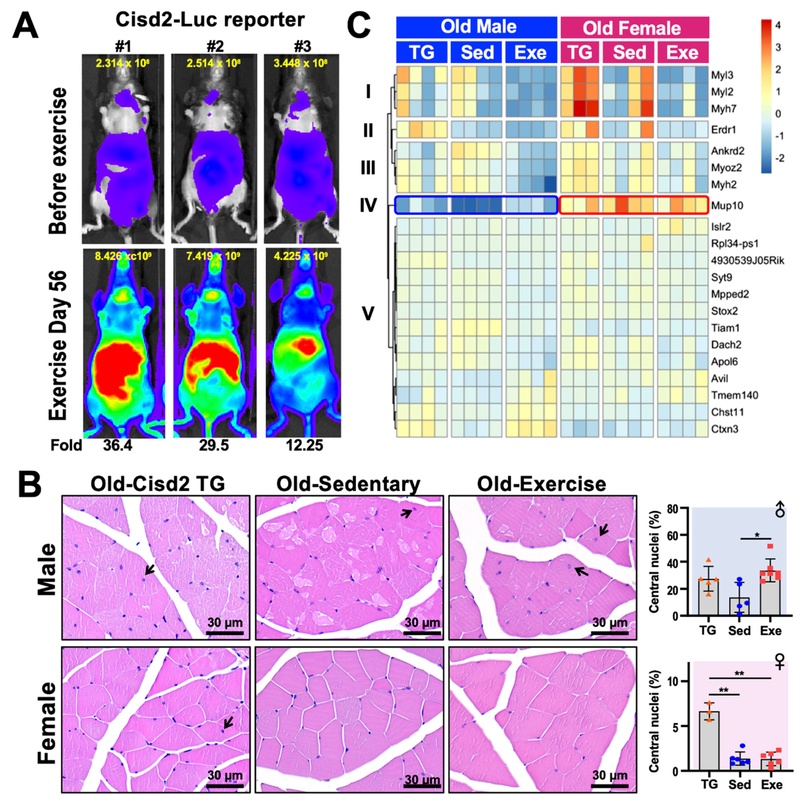 Ijms 21 09059 g002 Ijms 21 09059 g002