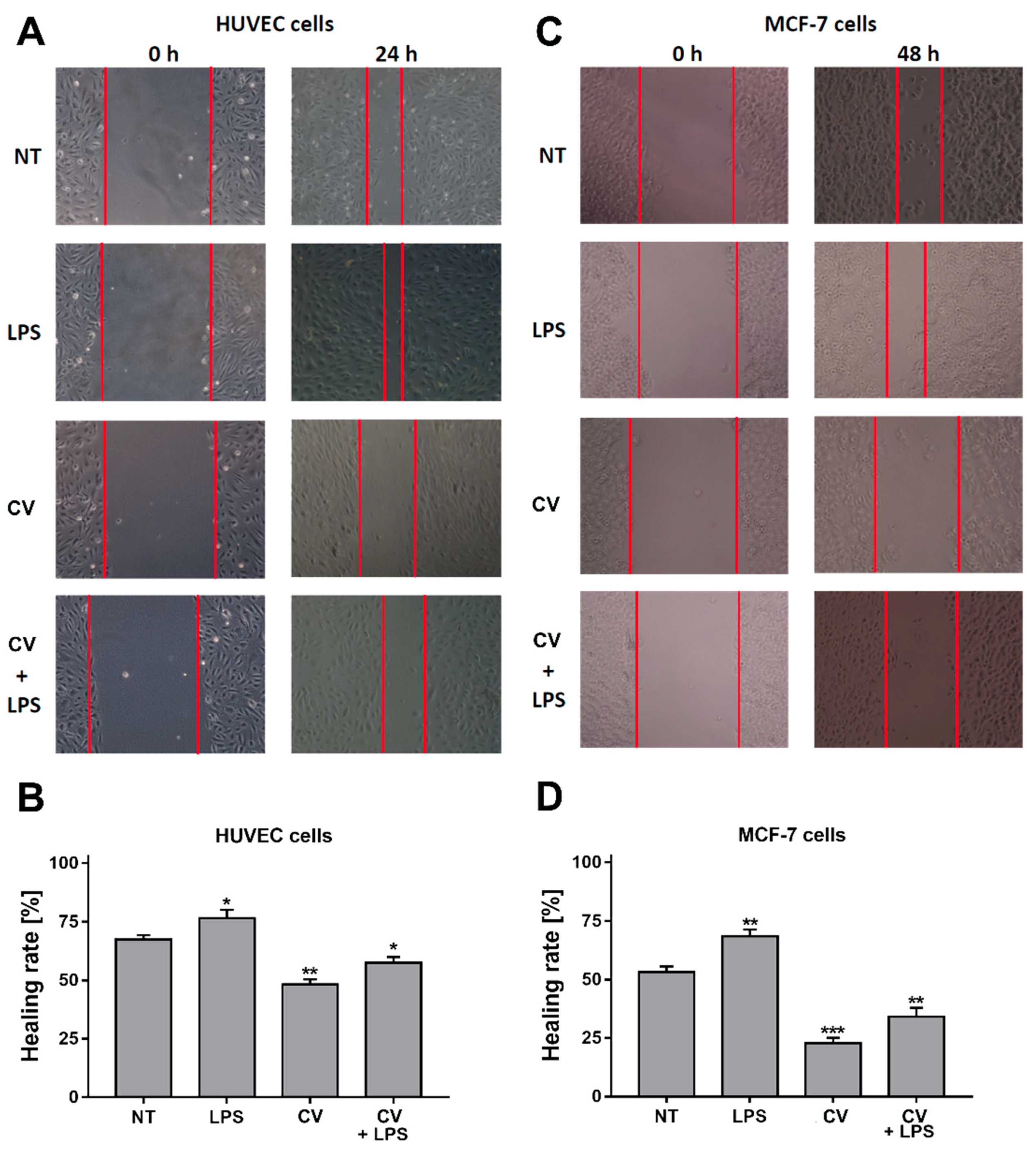 Ijms 21 09063 g003 Ijms 21 09063 g003
