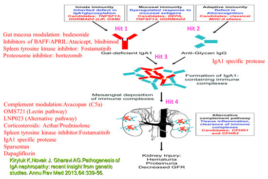 Emerging Modes of Treatment of IgA Nephropathy