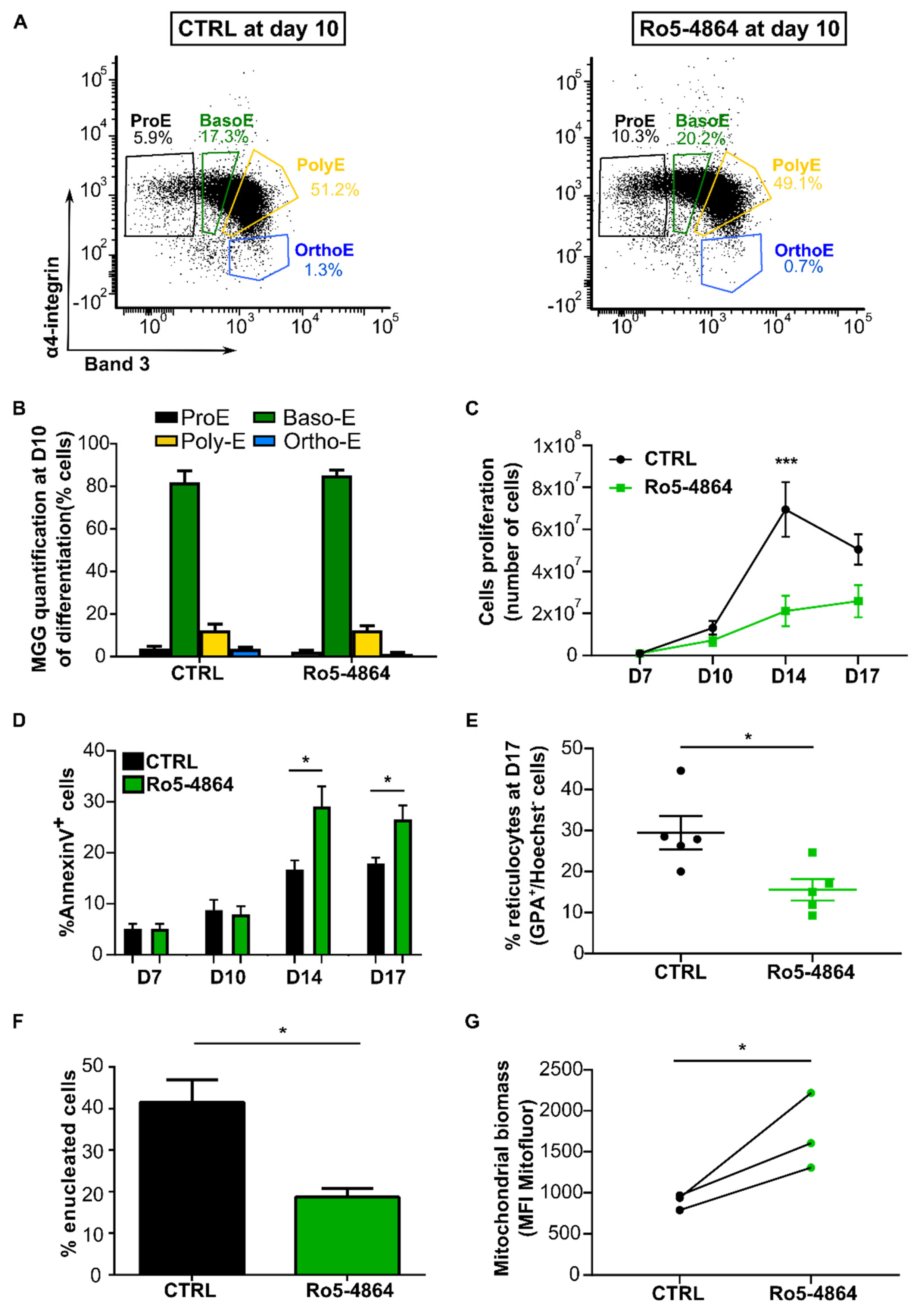 Ijms 21 09066 g005 Ijms 21 09066 g005