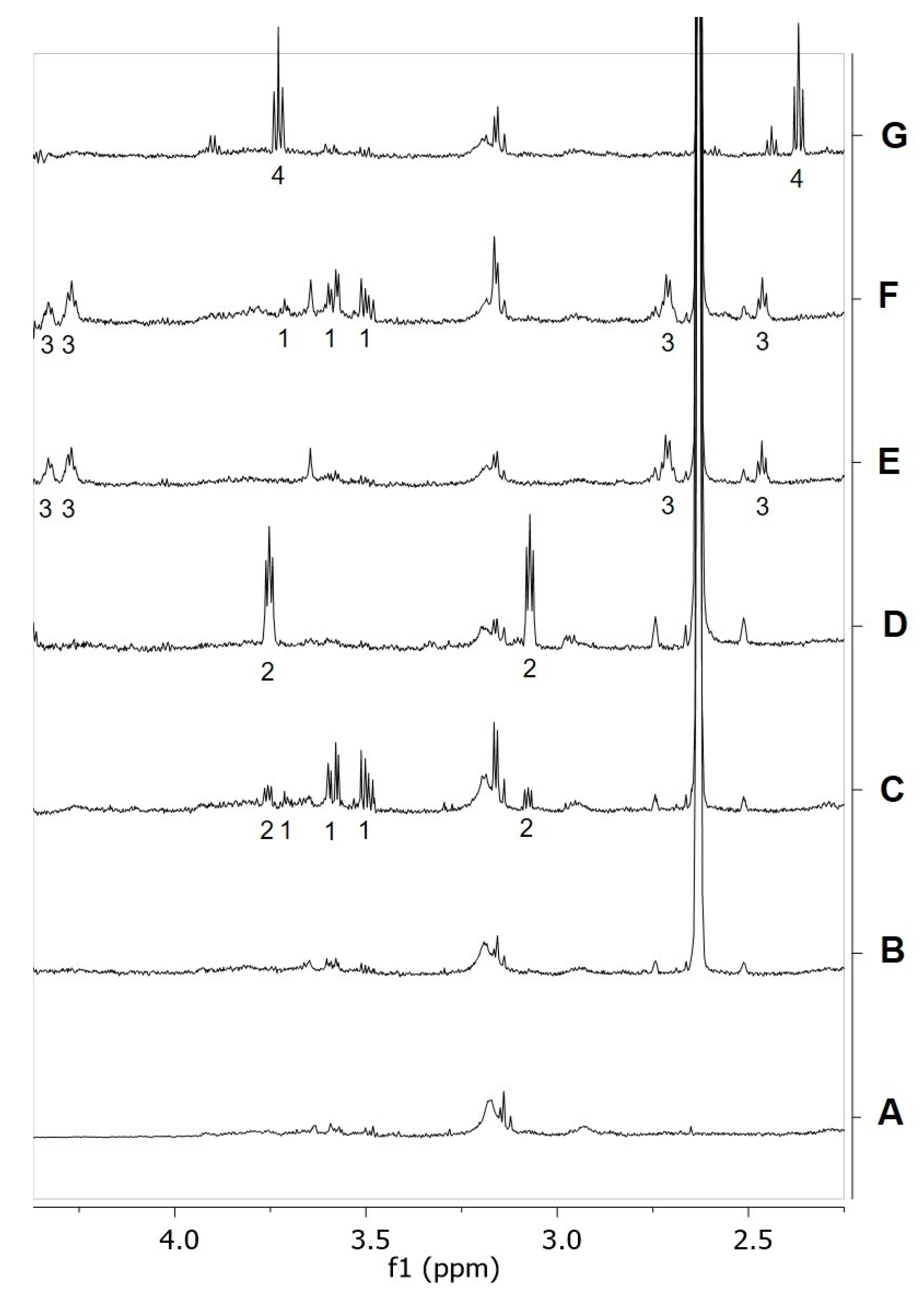 Ijms 21 09074 g007 Ijms 21 09074 g007