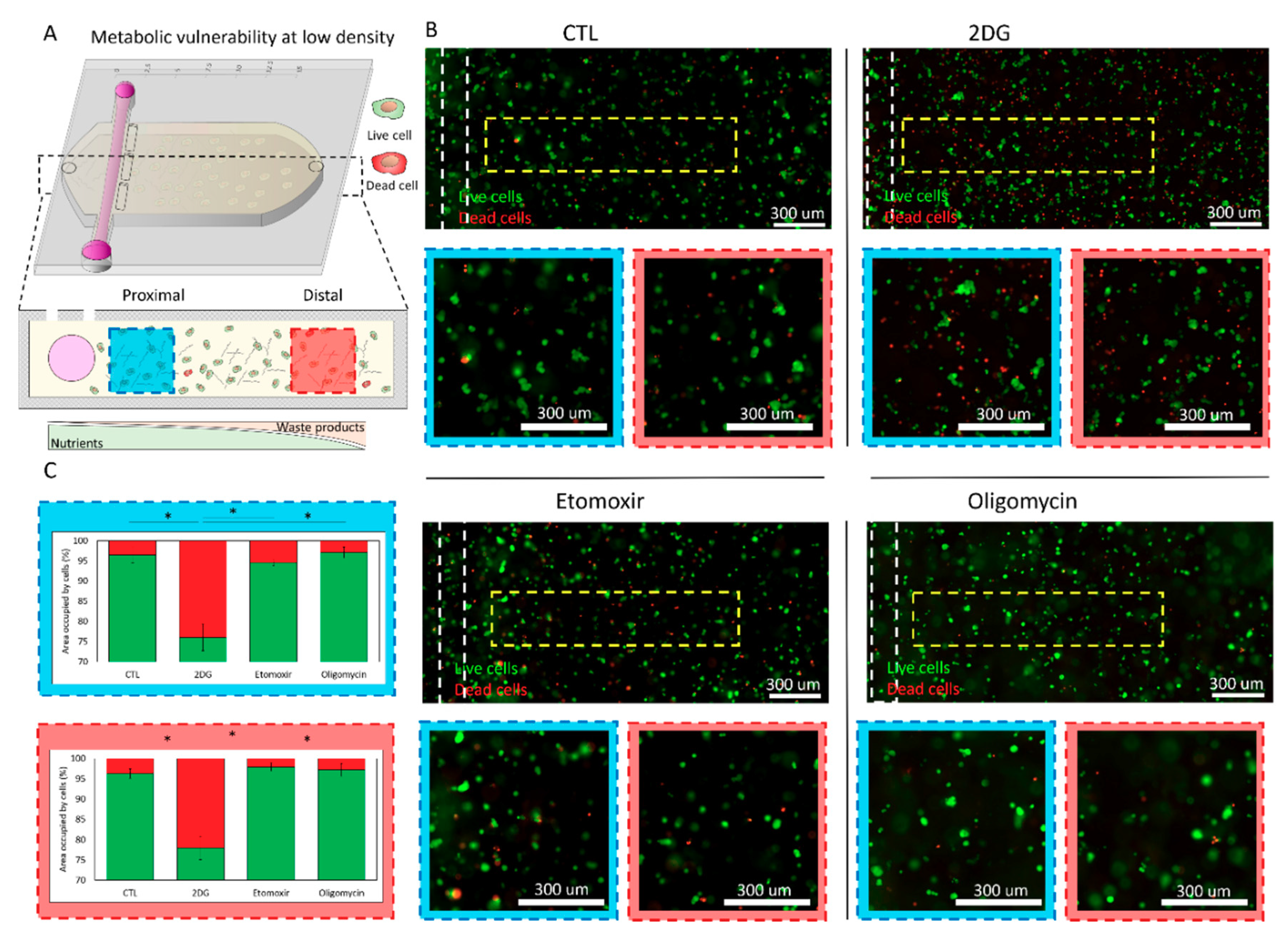 Ijms 21 09075 g004 Ijms 21 09075 g004