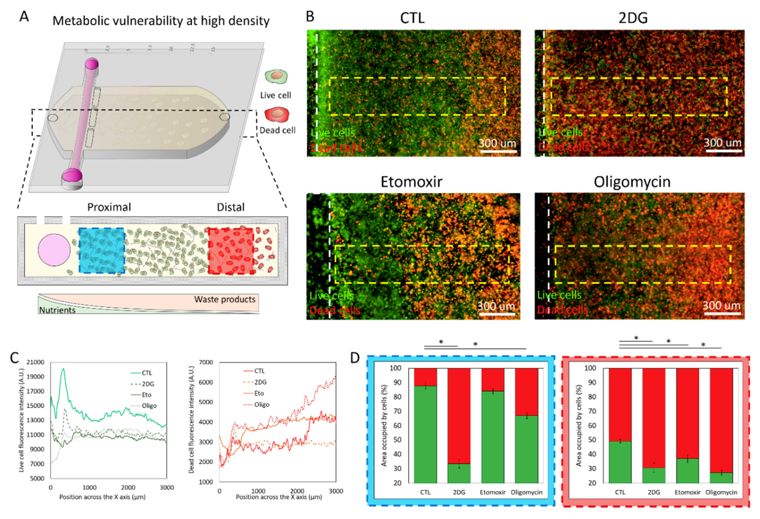 Ijms 21 09075 g006 Ijms 21 09075 g006