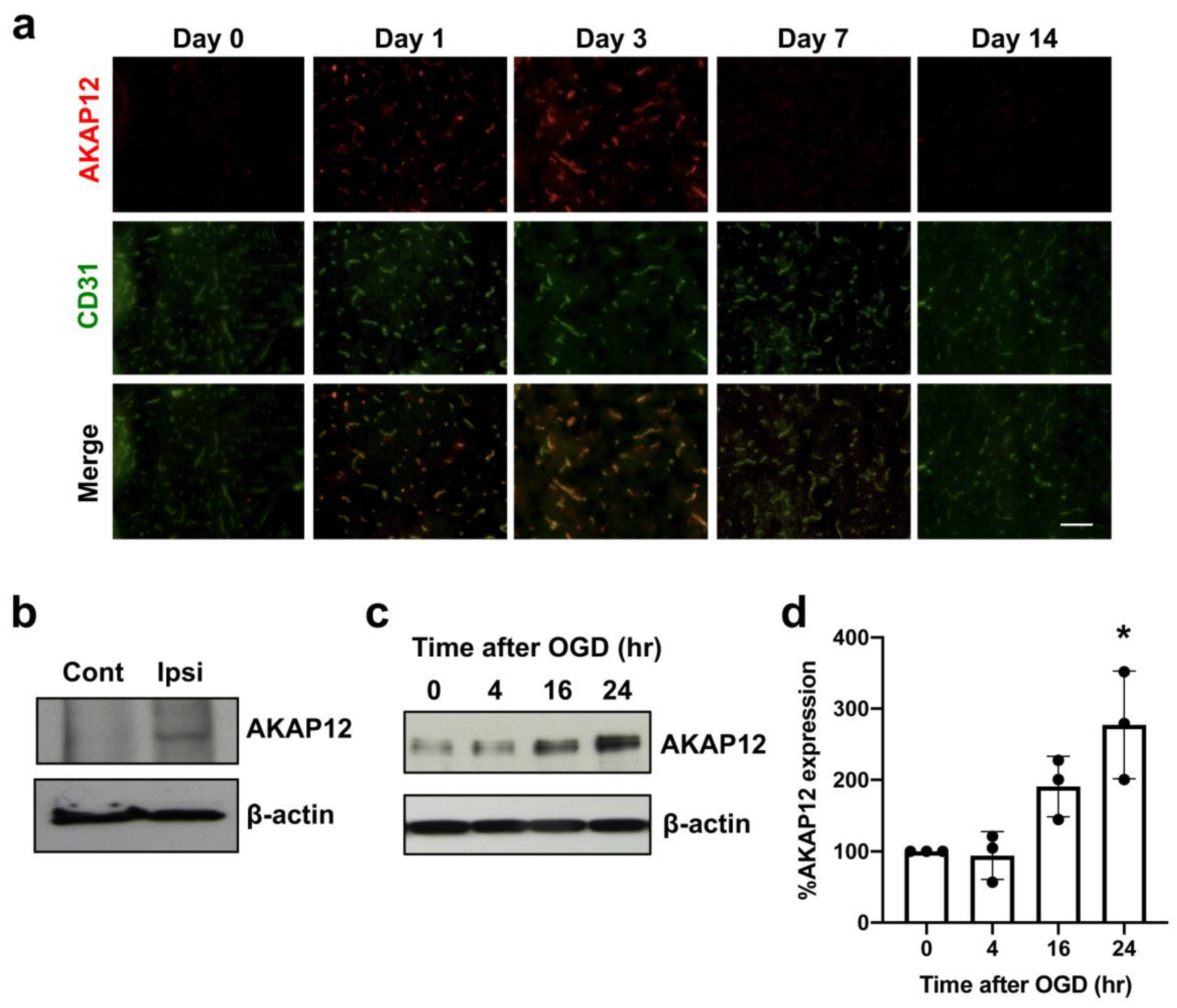 Ijms 21 09078 g001 Ijms 21 09078 g001
