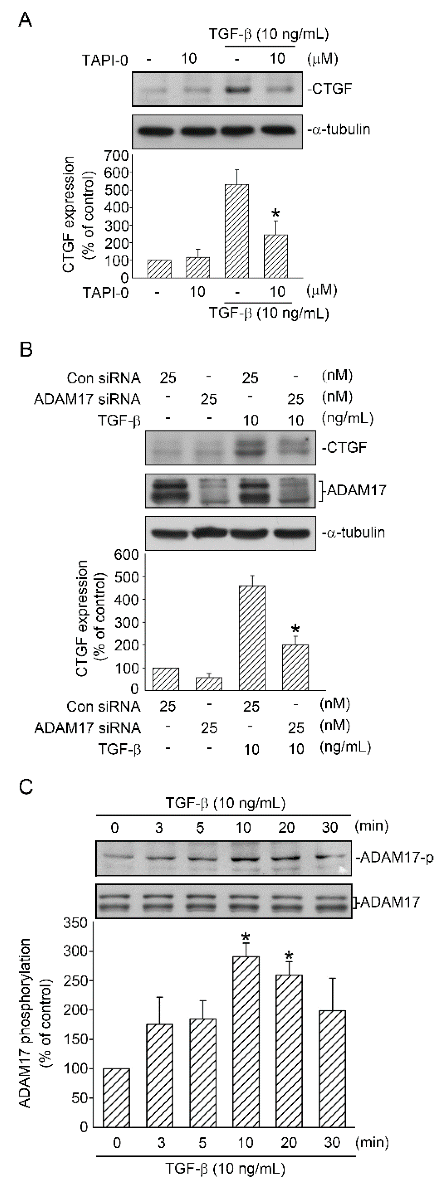 Ijms 21 09084 g002 Ijms 21 09084 g002