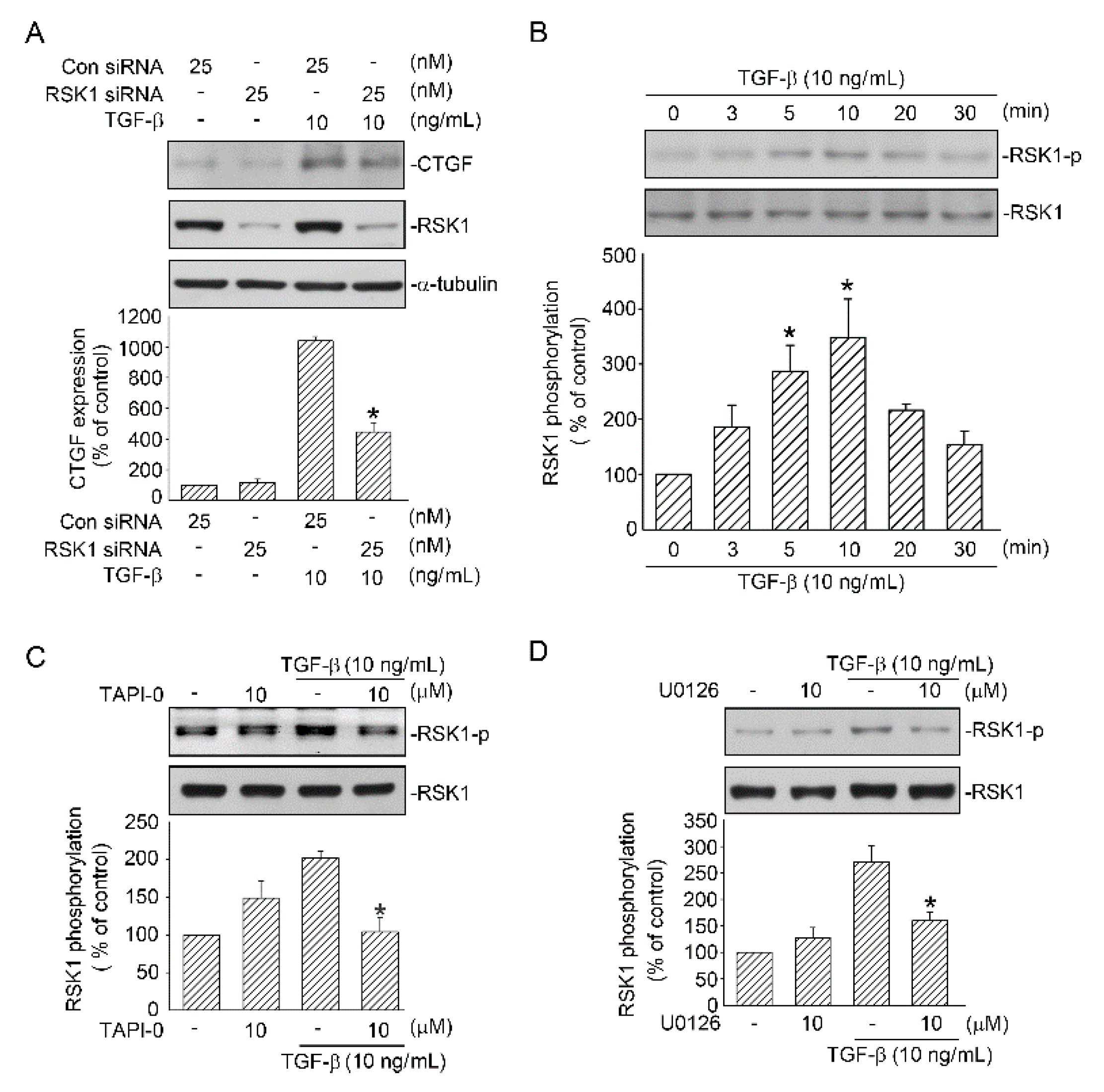 Ijms 21 09084 g004 Ijms 21 09084 g004