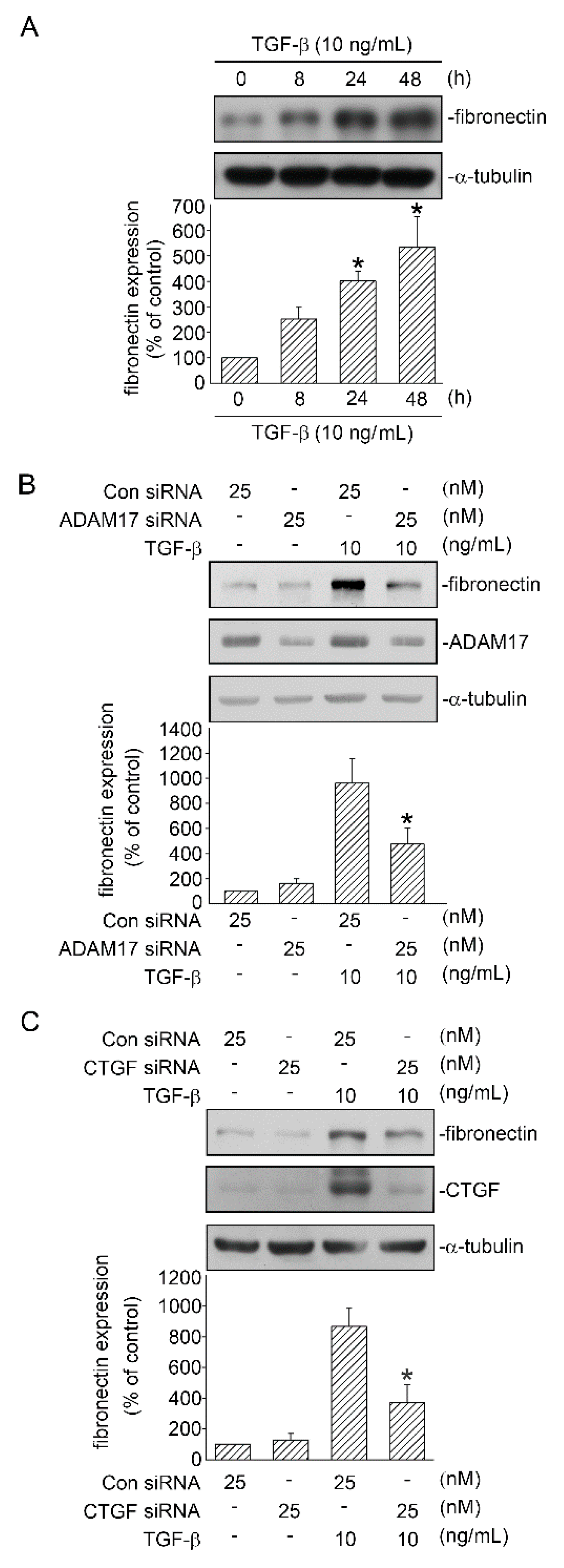 Ijms 21 09084 g008 Ijms 21 09084 g008