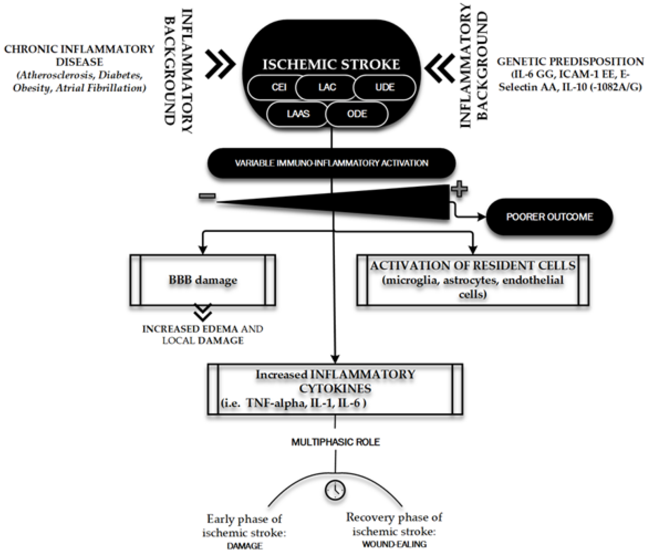 Ijms Free Full Text Role Of Regular Physical Activity In Neuroprotection Against Acute Ischemia Html
