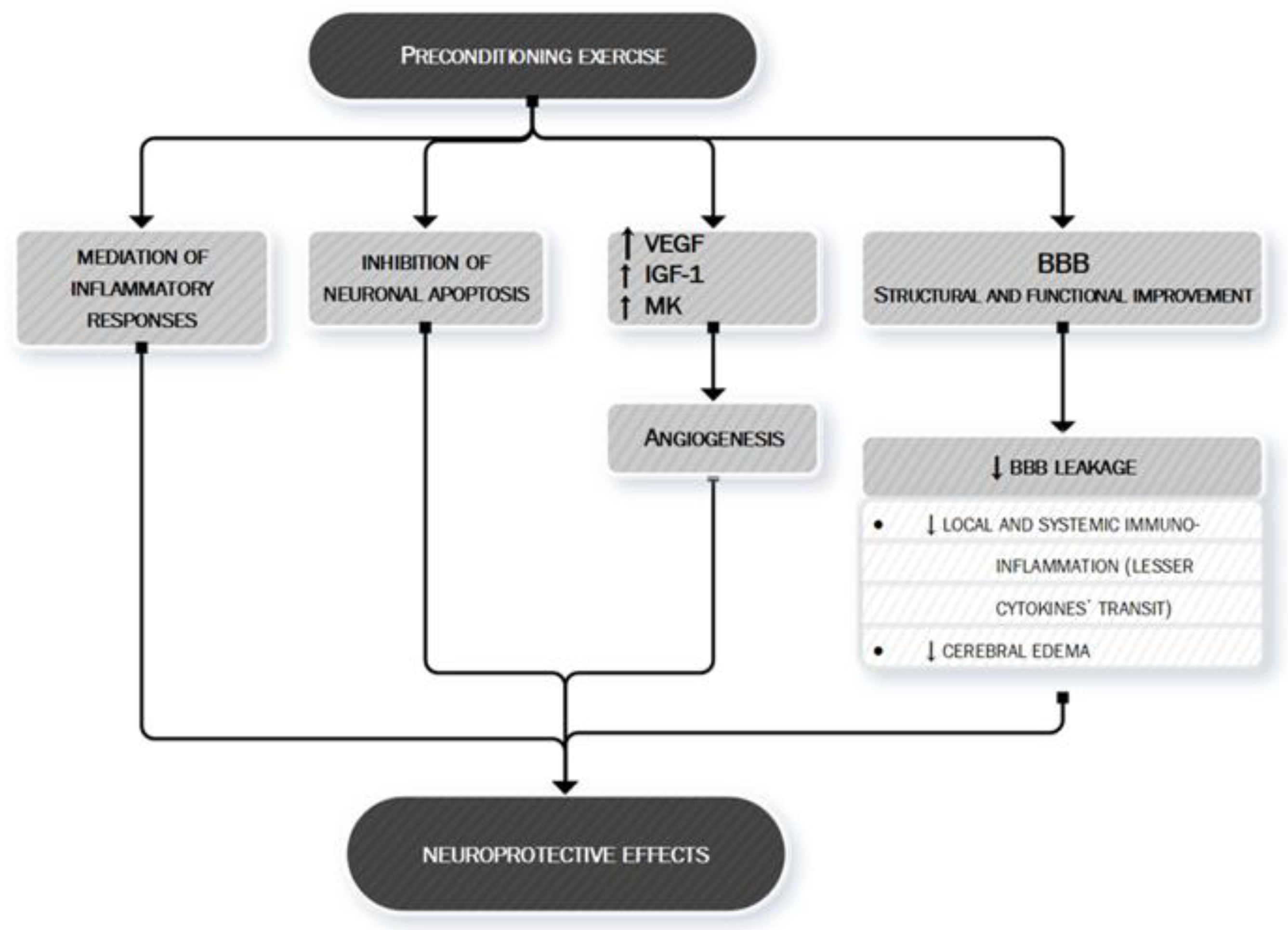 Ijms 21 09086 g007 Ijms 21 09086 g007