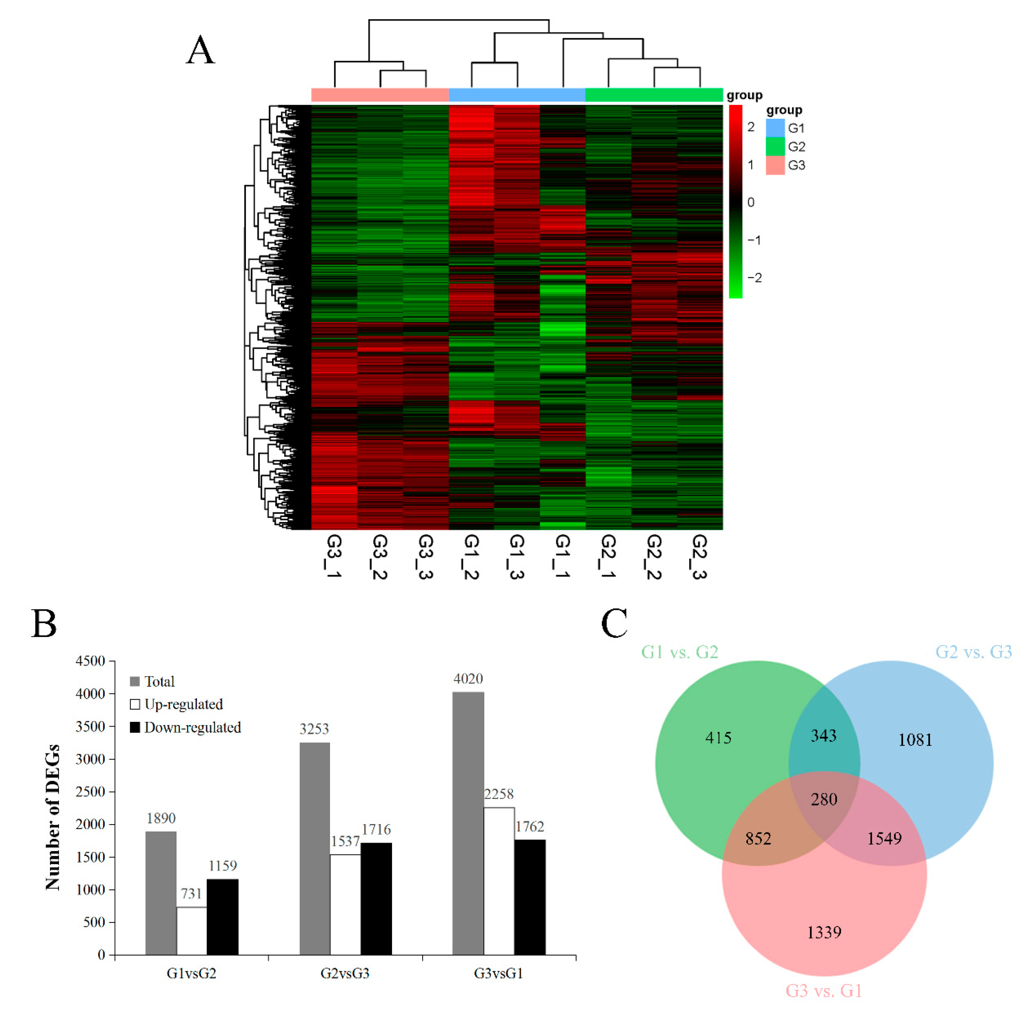 Ijms 21 09093 g001 Ijms 21 09093 g001