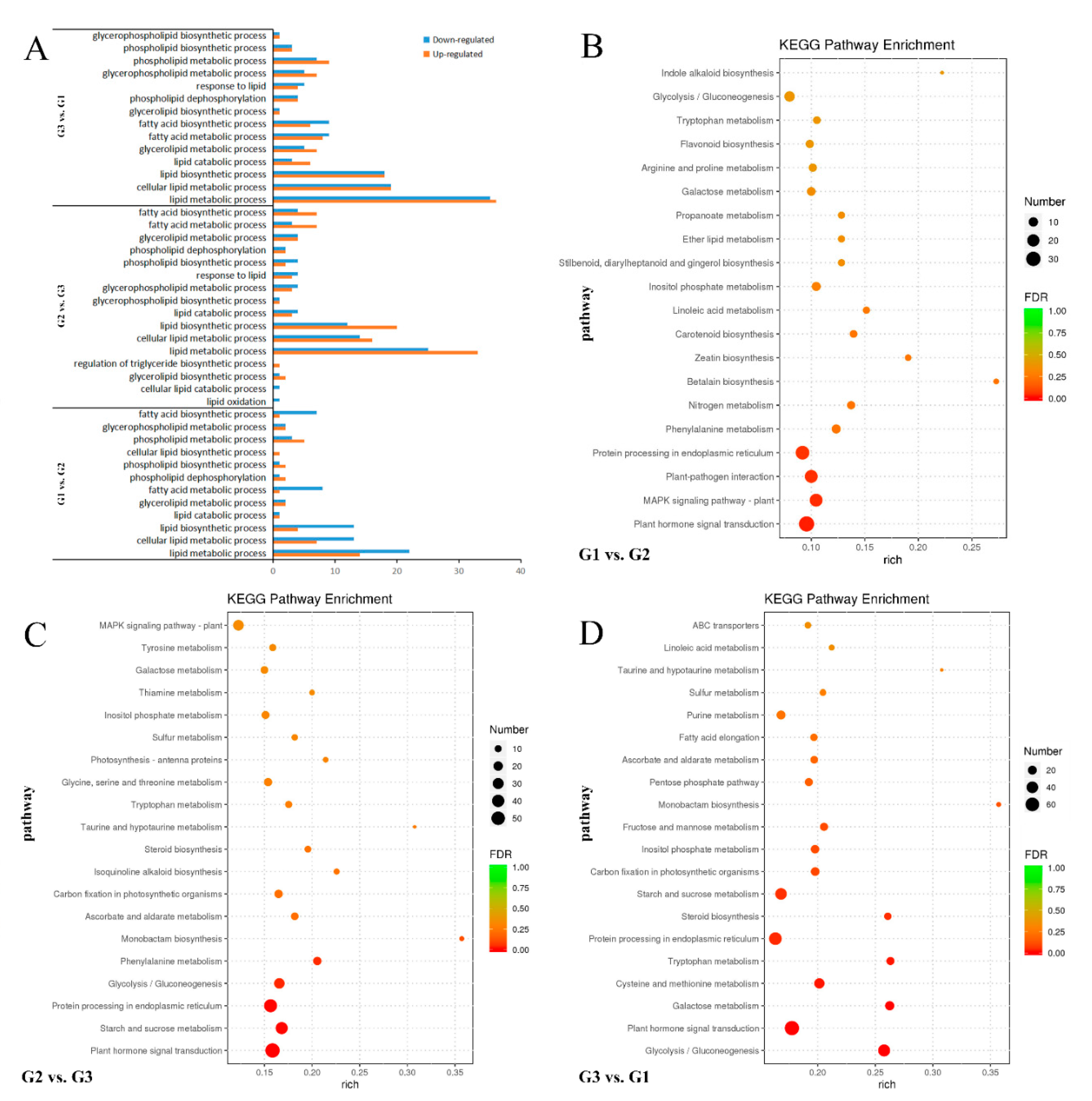 Ijms 21 09093 g002 Ijms 21 09093 g002