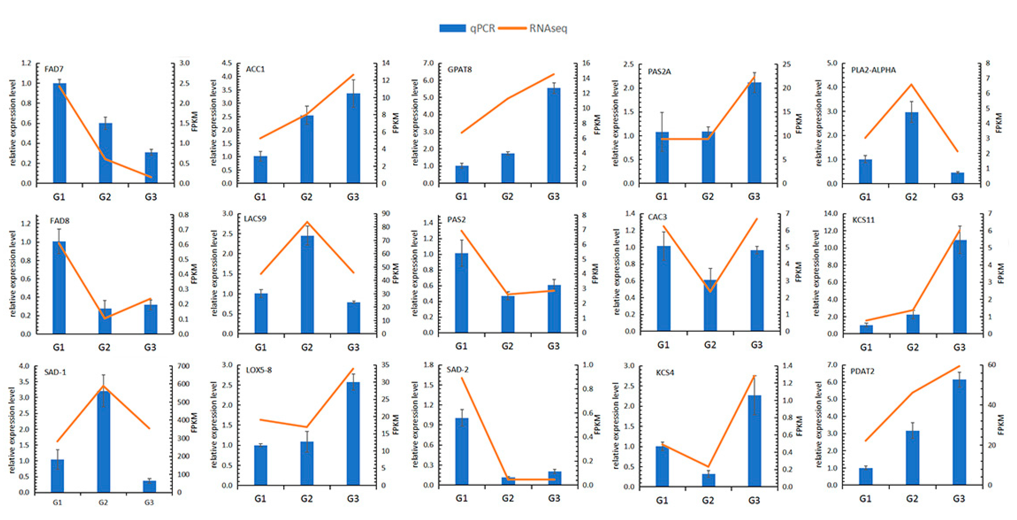 Ijms 21 09093 g003 Ijms 21 09093 g003