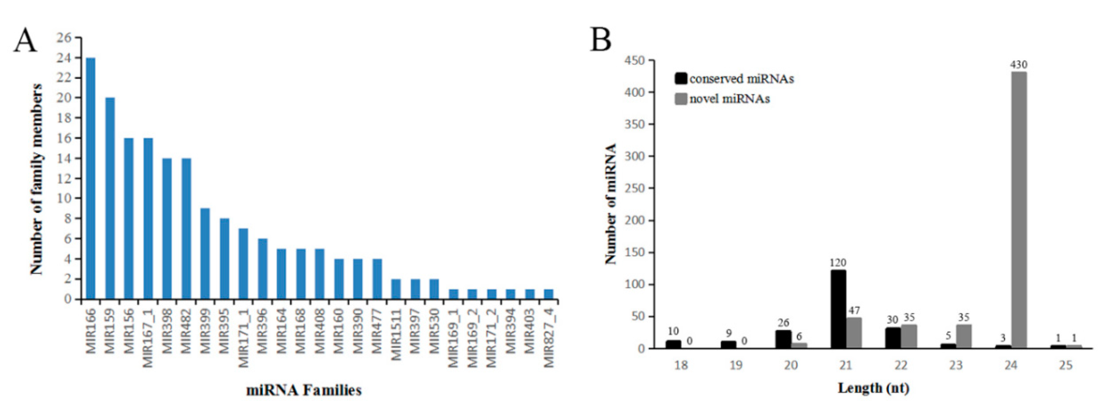 Ijms 21 09093 g005 Ijms 21 09093 g005