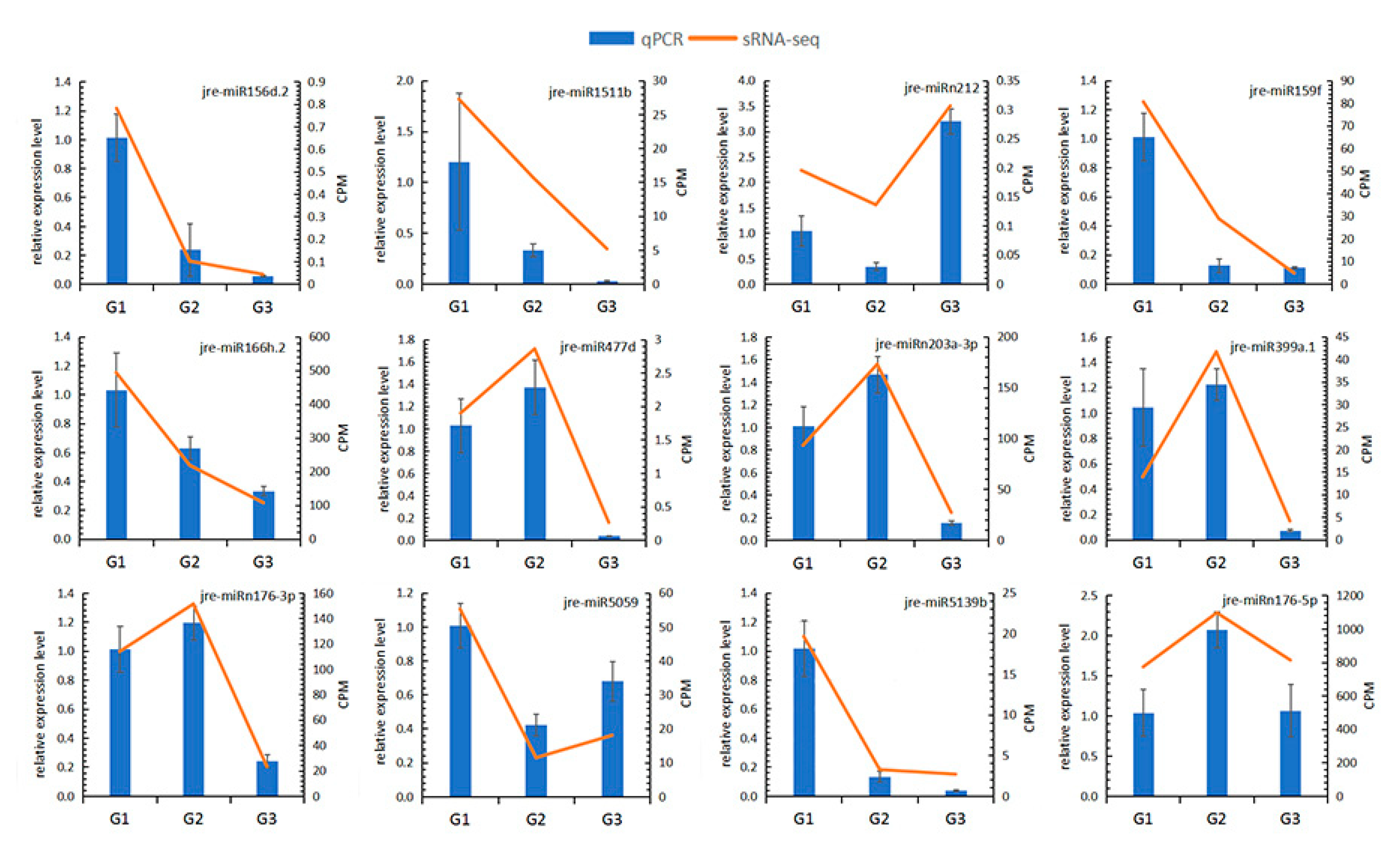 Ijms 21 09093 g007 Ijms 21 09093 g007