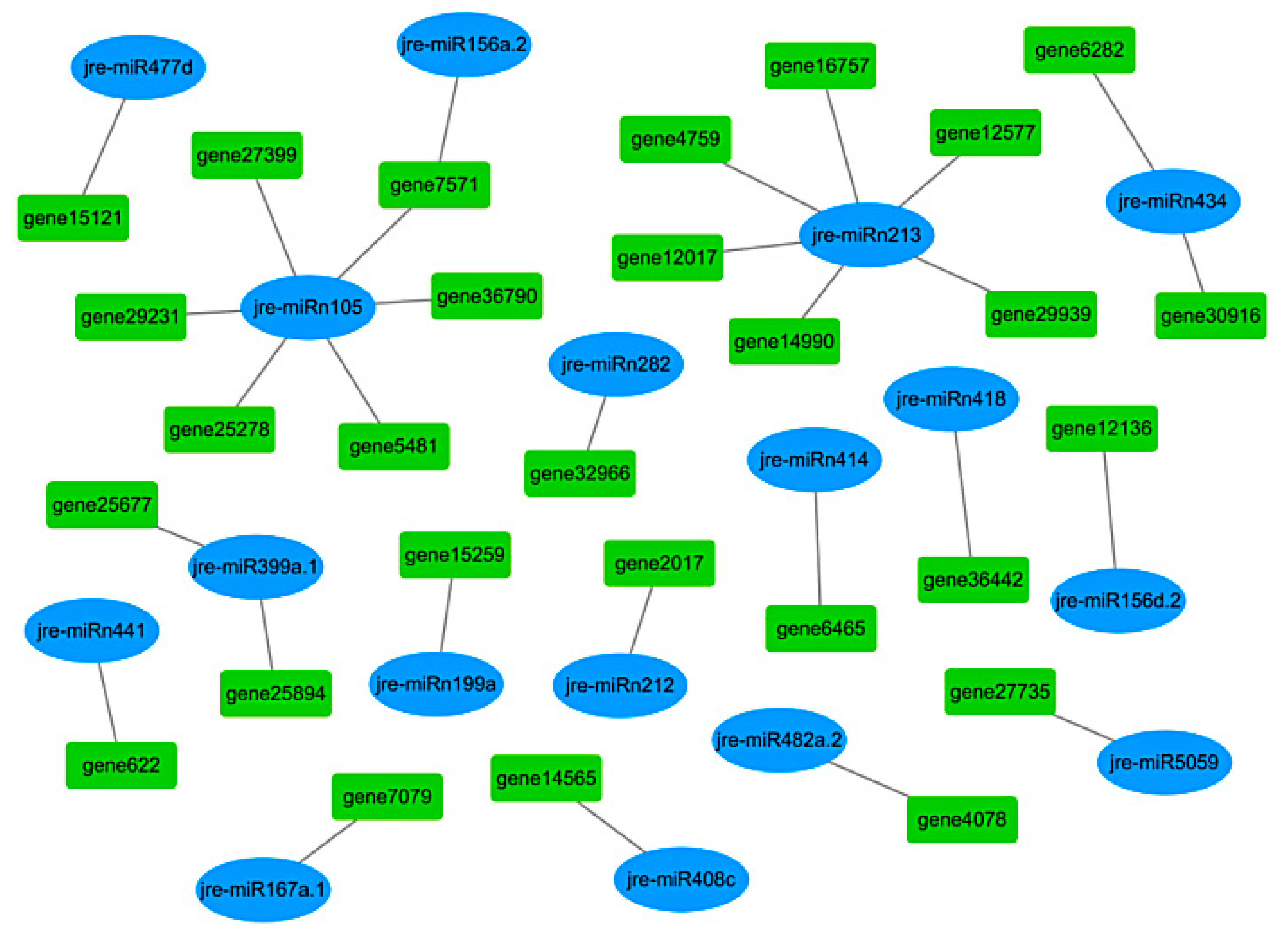 Ijms 21 09093 g008 Ijms 21 09093 g008