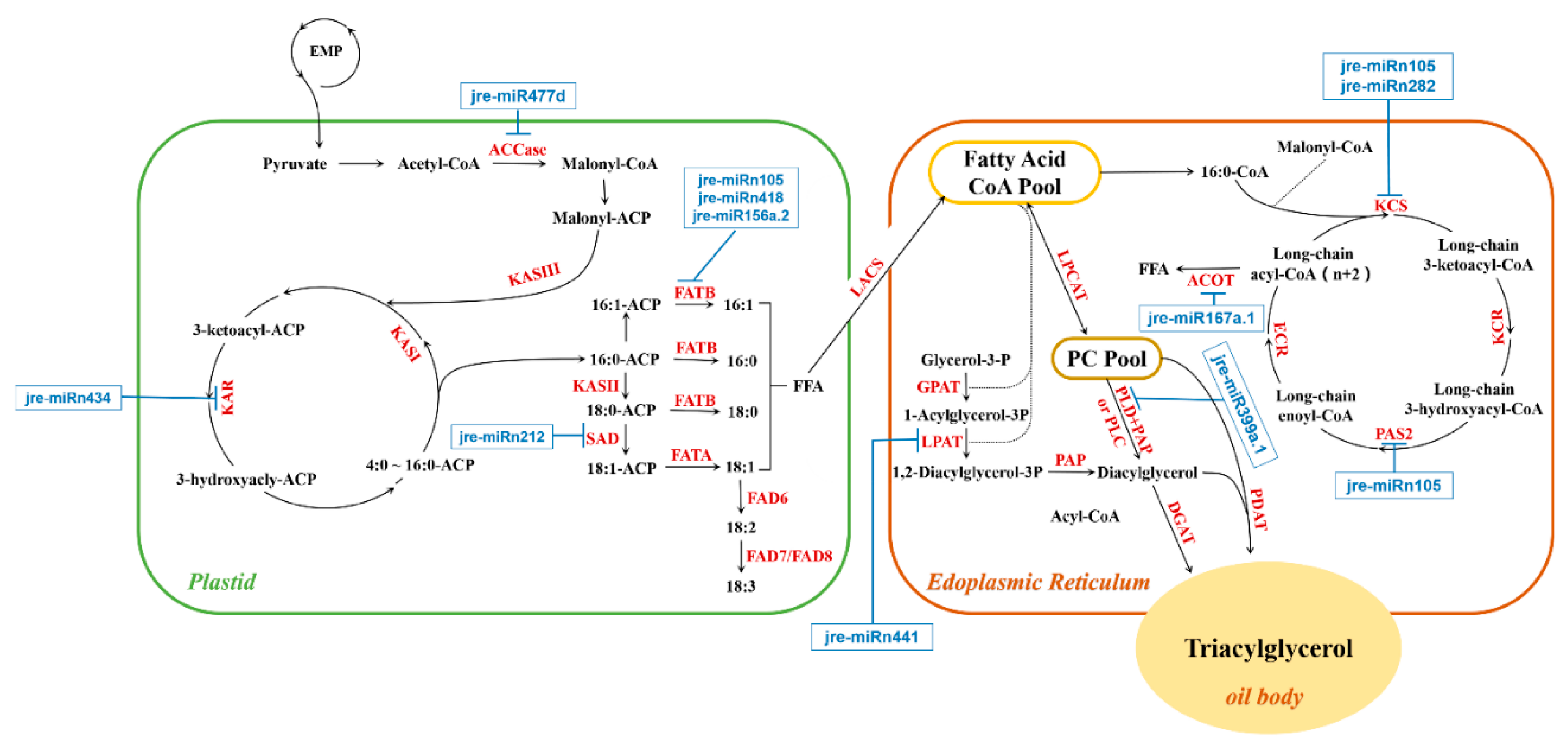 Ijms 21 09093 g009 Ijms 21 09093 g009
