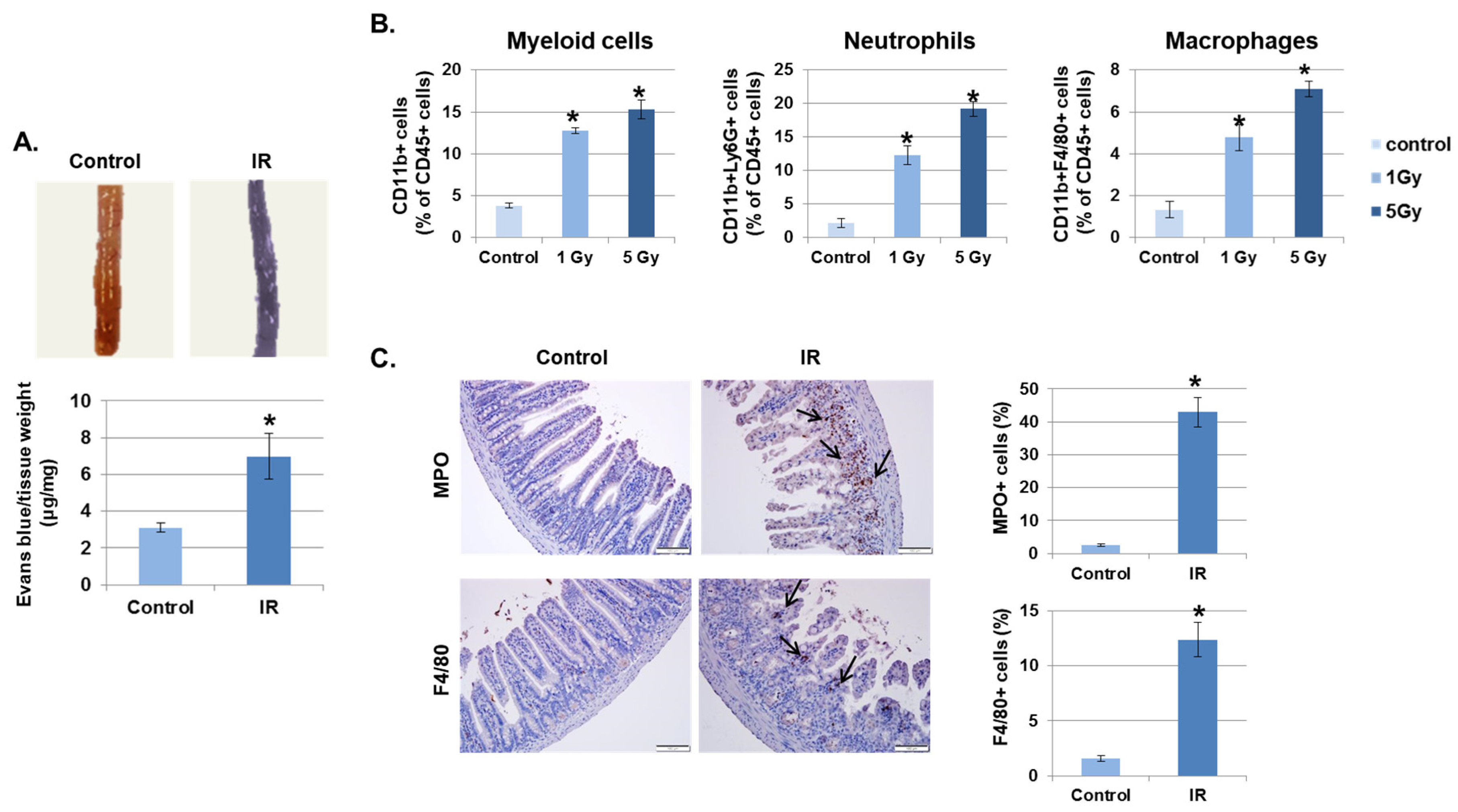 Ijms 21 09096 g001 Ijms 21 09096 g001